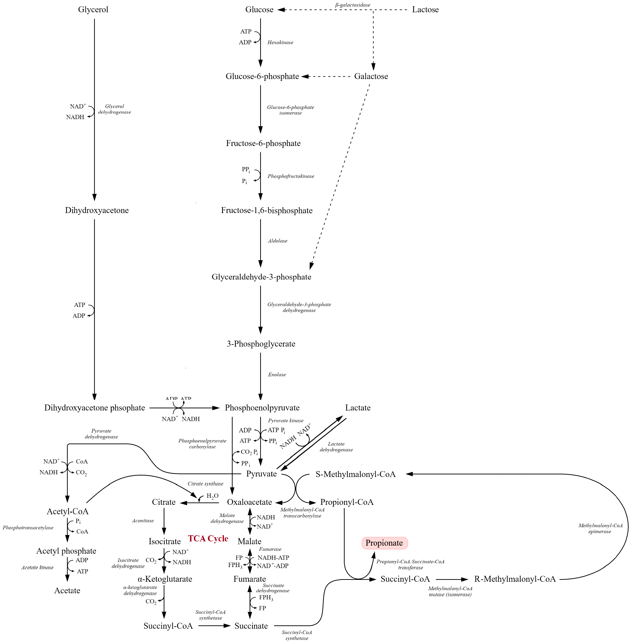 Molecules 31 00333 g005