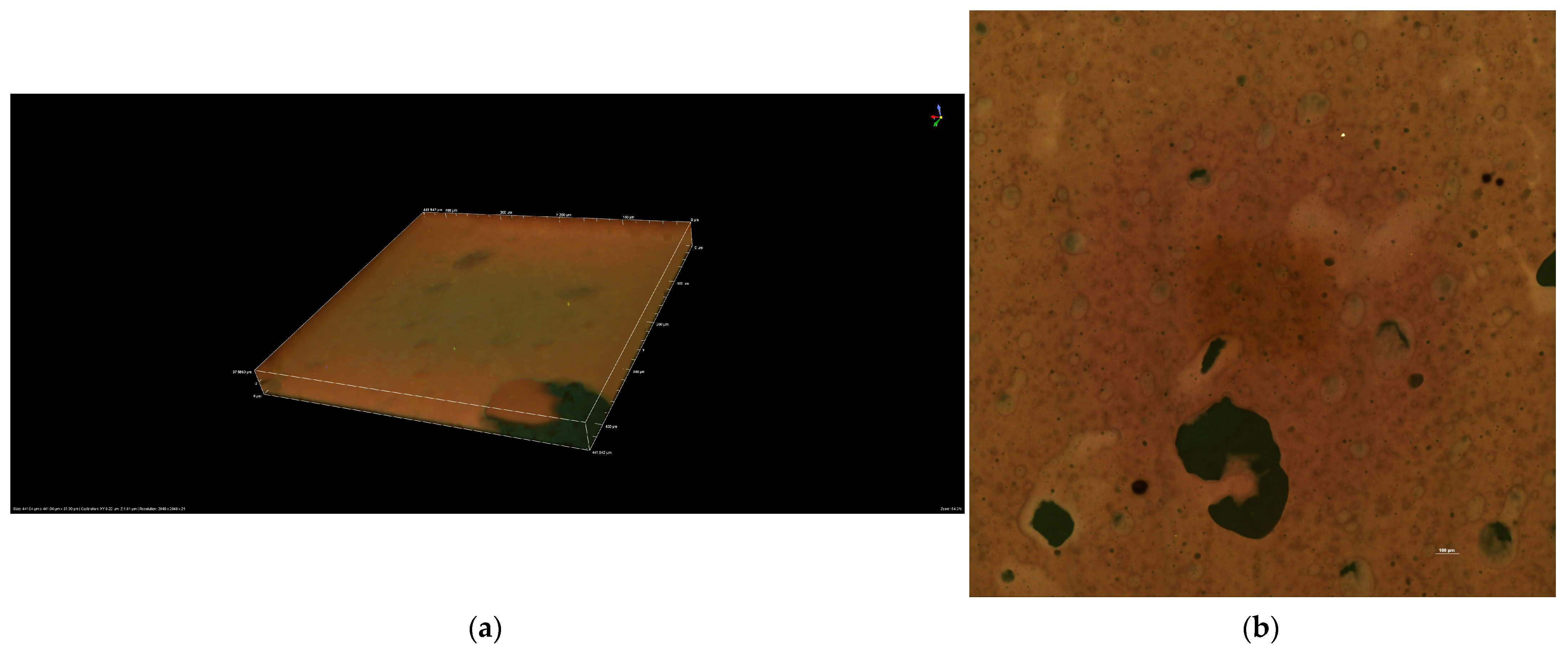 Molecules 31 00335 g007