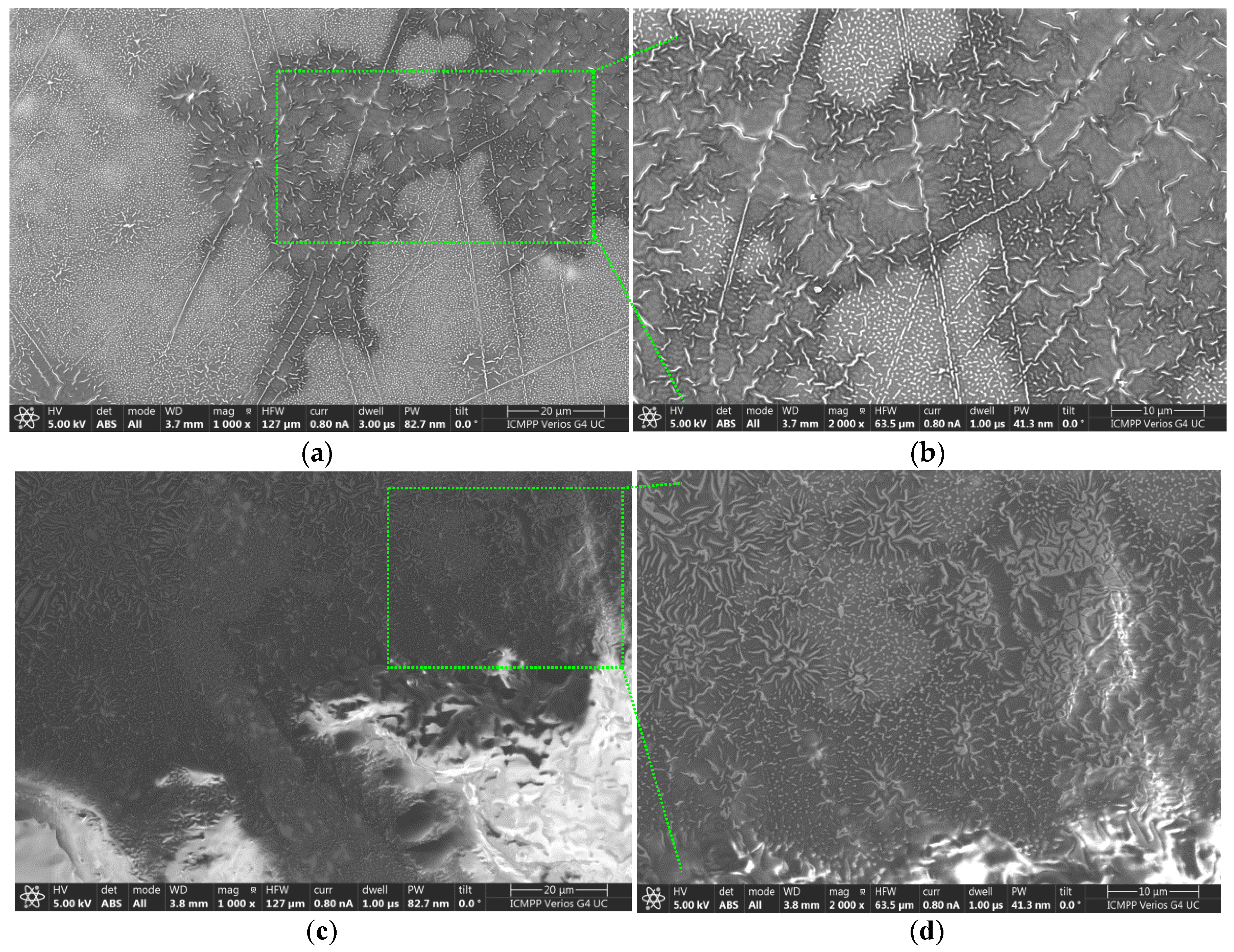 Molecules 31 00335 g009