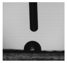 Molecules 31 00335 i001