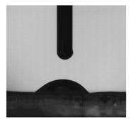 Molecules 31 00335 i003