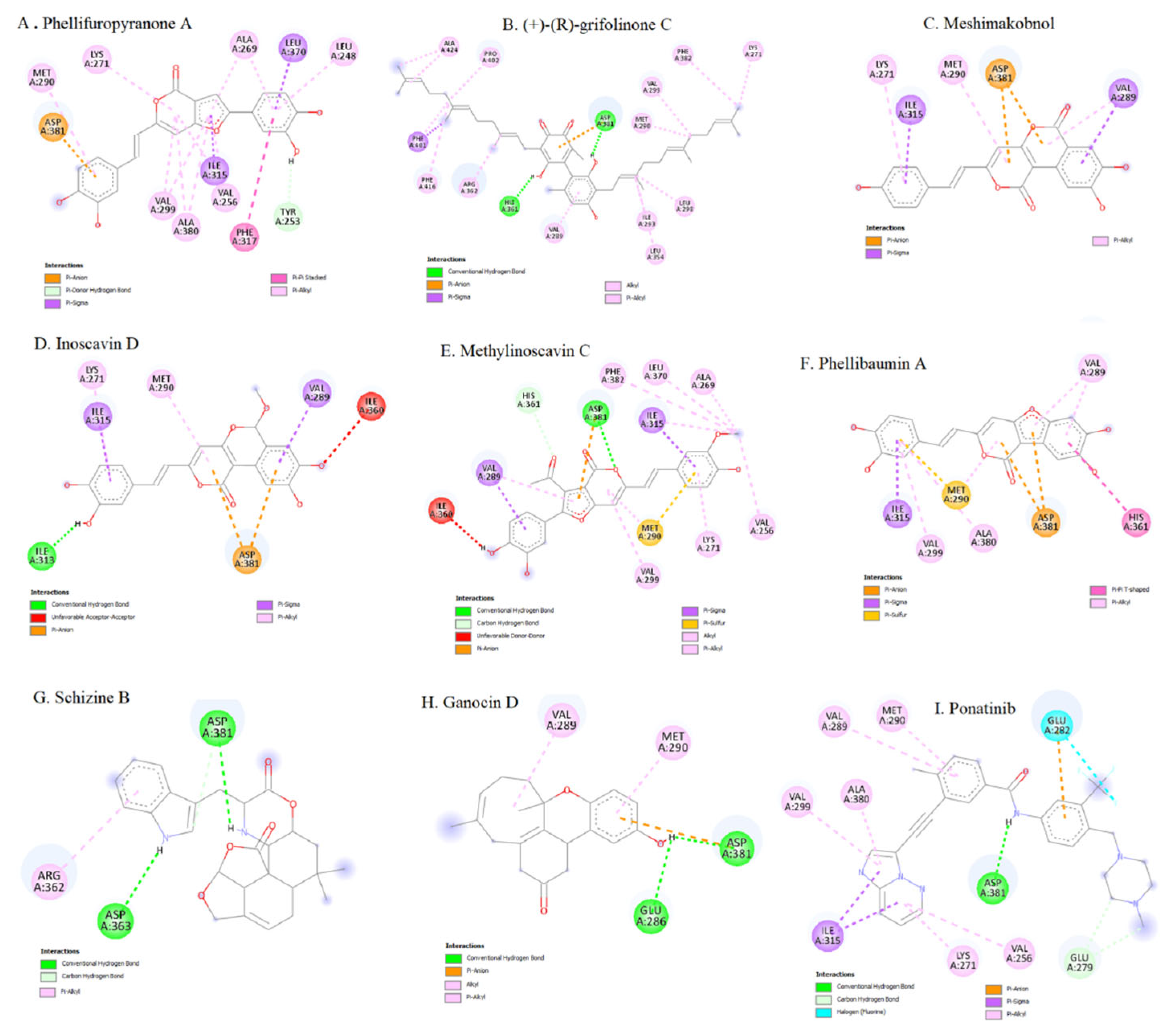 Molecules 31 00341 g032 Molecules 31 00341 g032