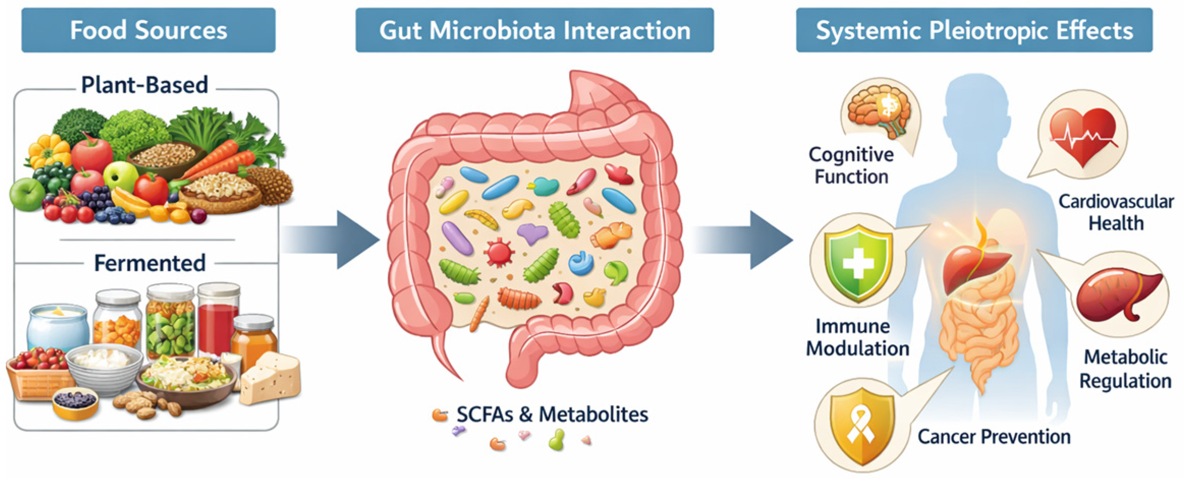 Probiotic and Bioactive Compounds in Foods: From Antioxidant