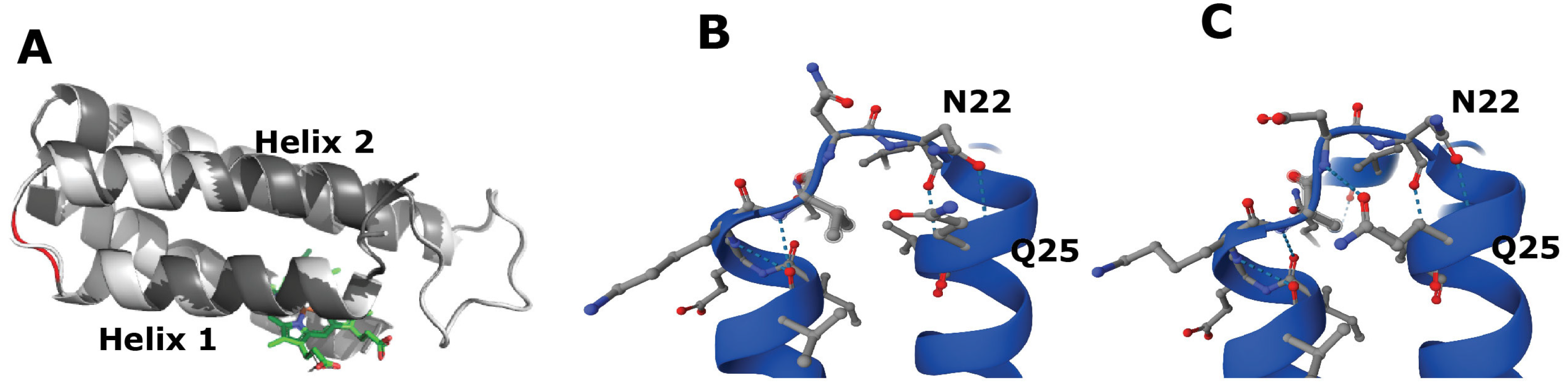 Molecules 31 00346 g006