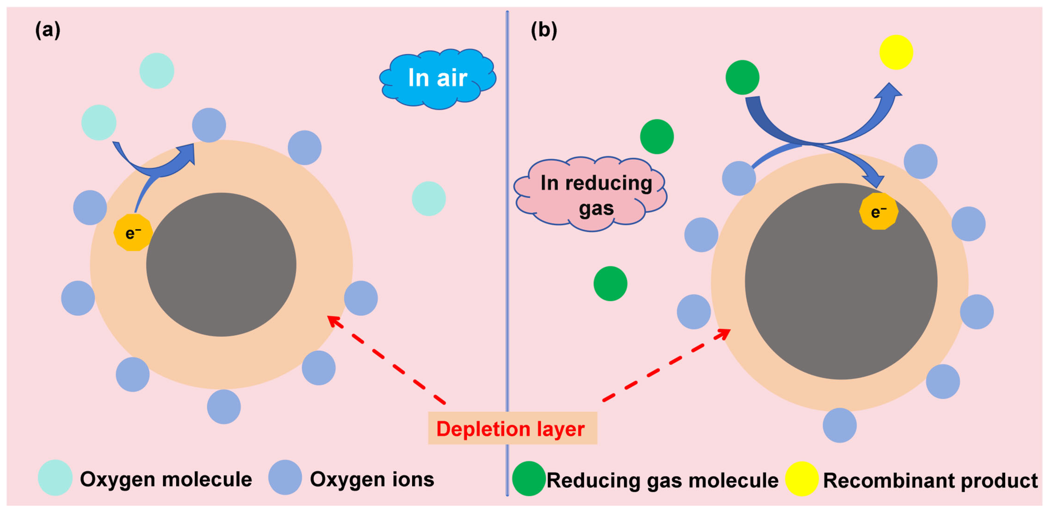Molecules 31 00347 g009 Molecules 31 00347 g009
