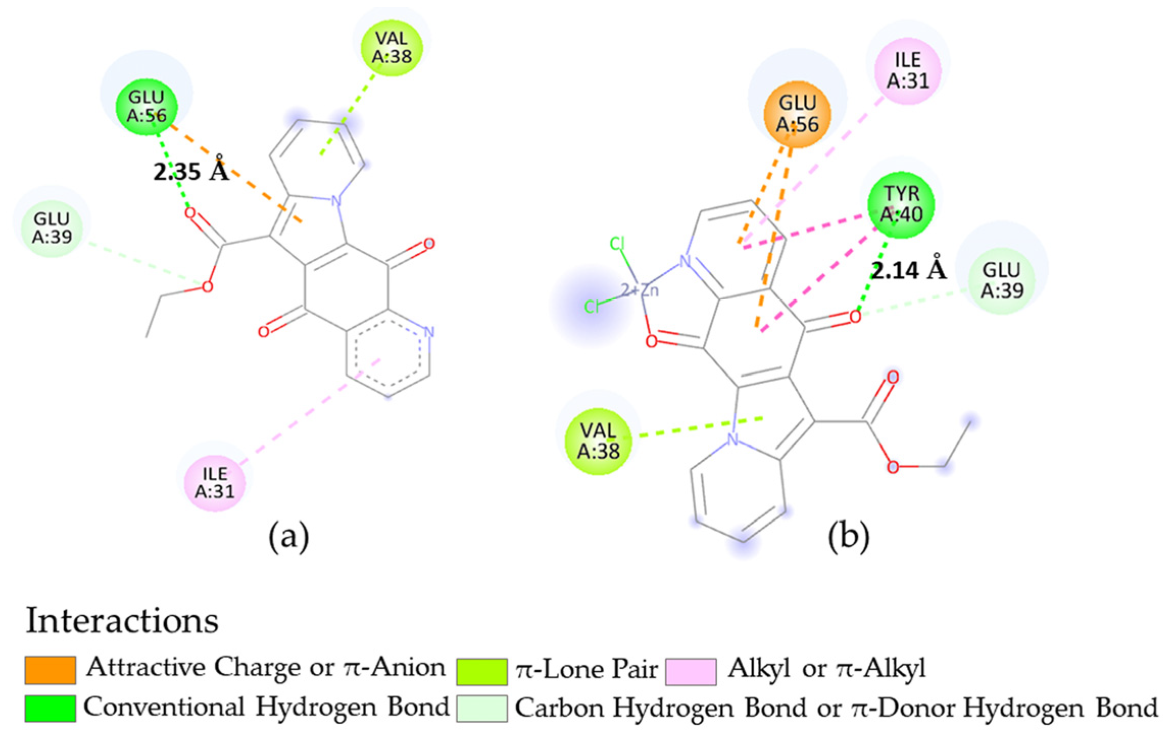 Molecules 31 00348 g005