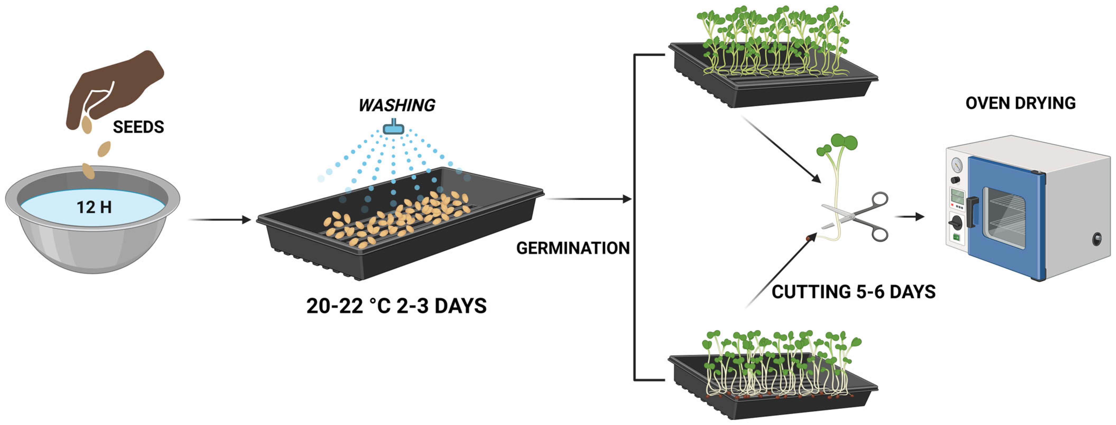 Molecules 31 00350 g001