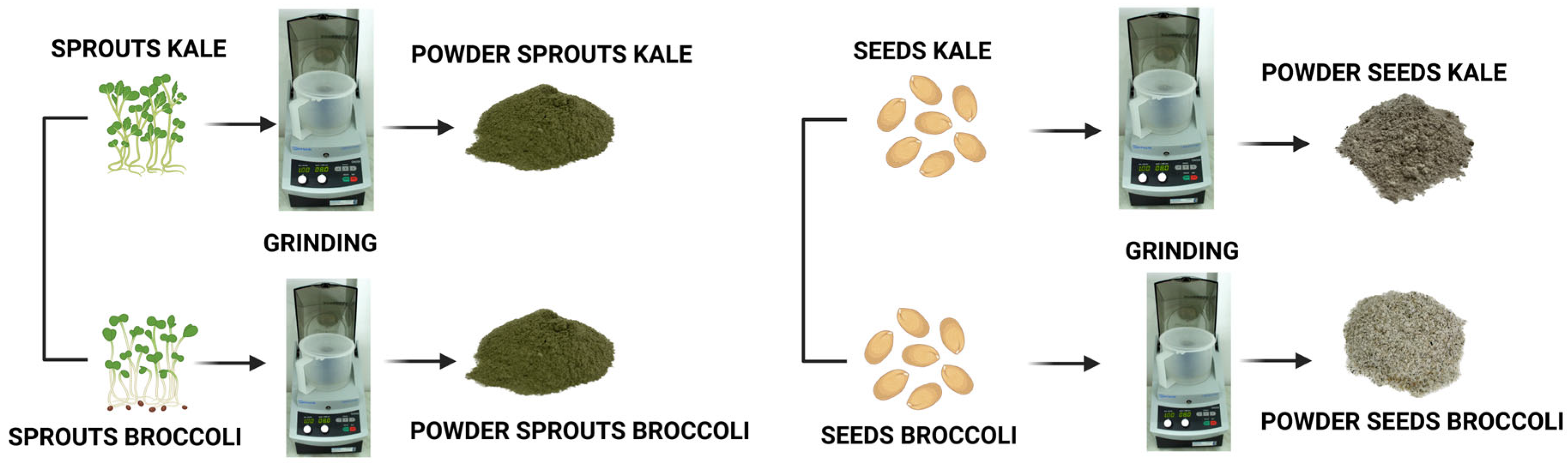 Molecules 31 00350 g002