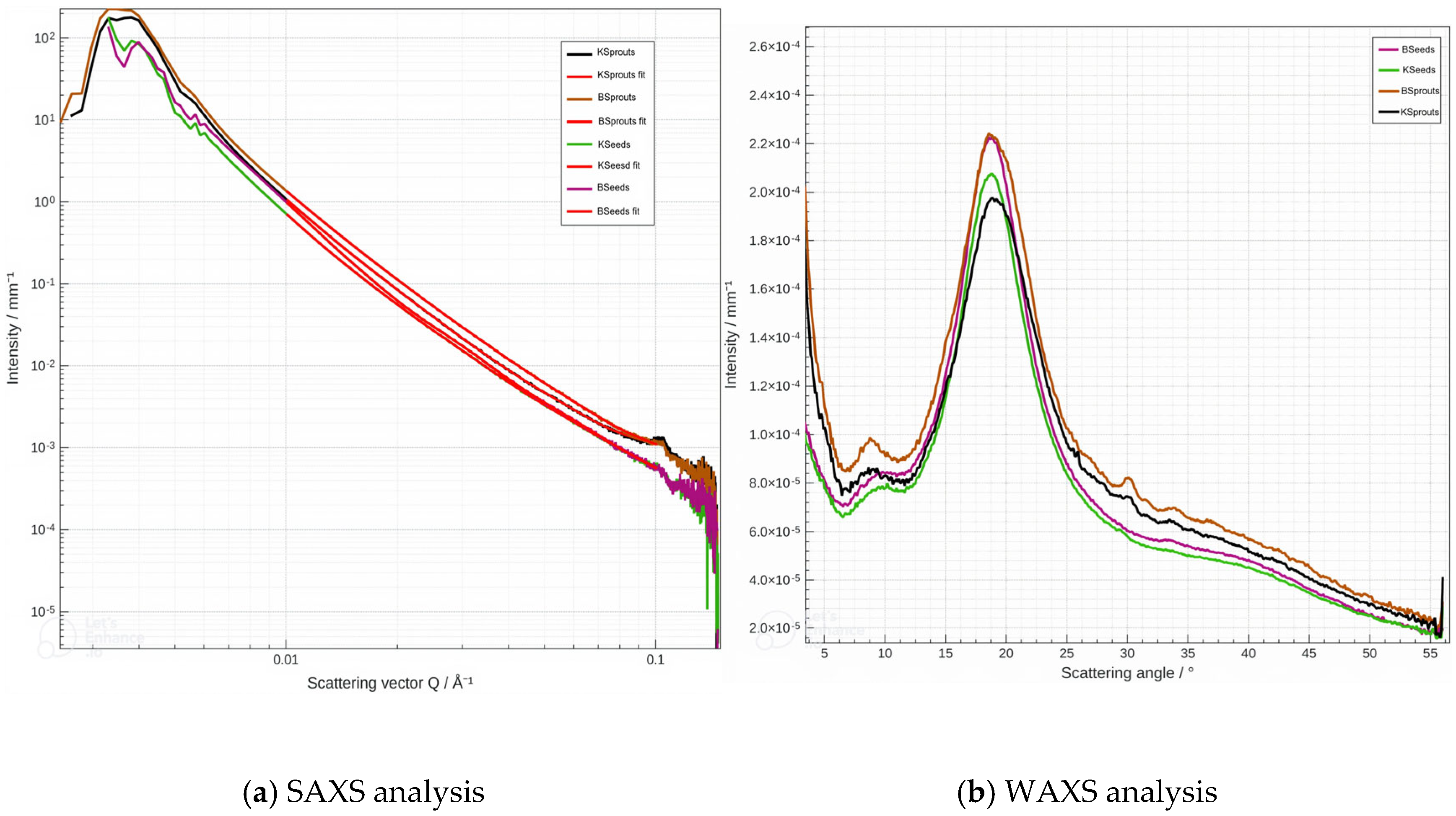 Molecules 31 00350 g009