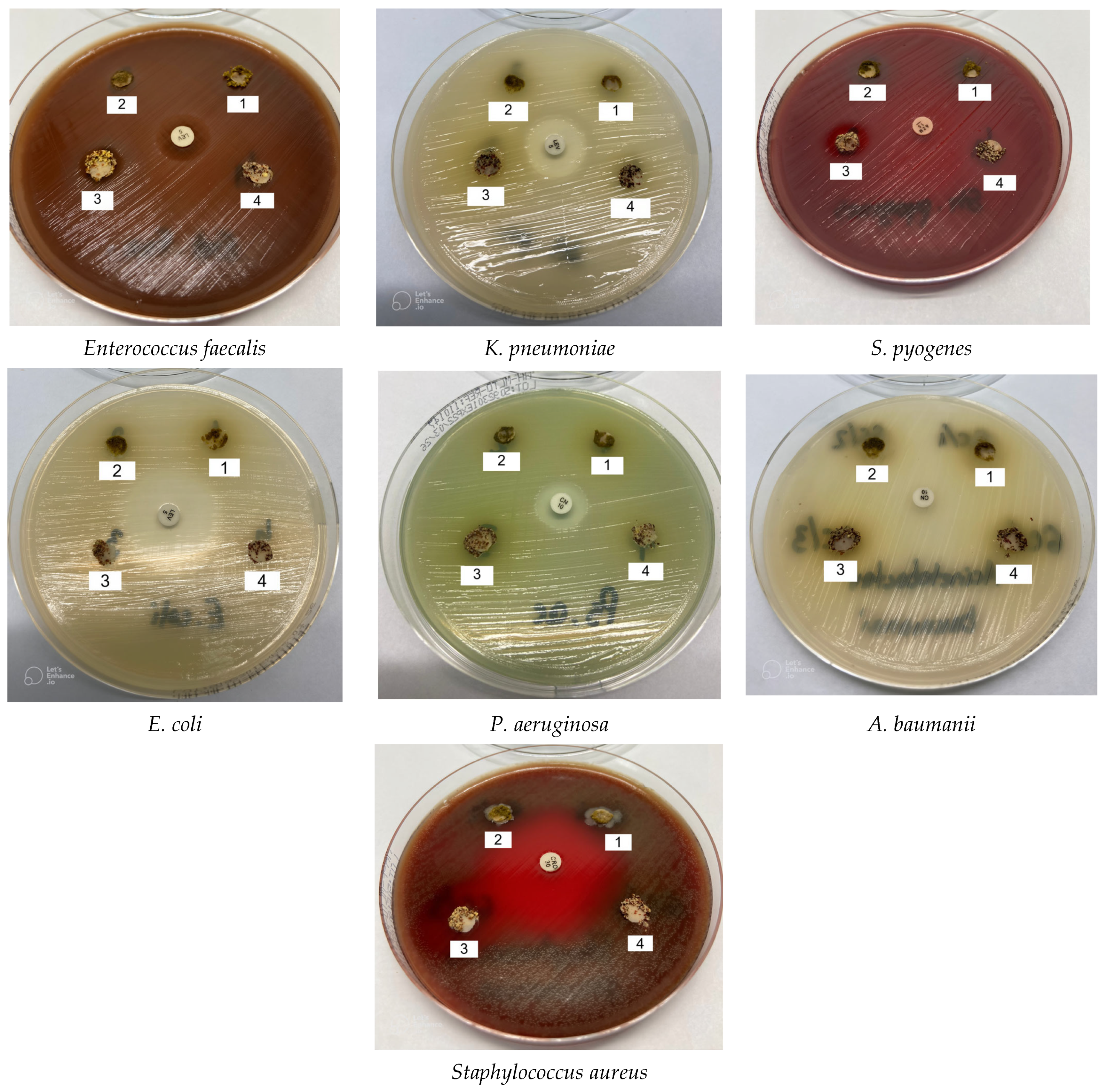 Molecules 31 00350 g010