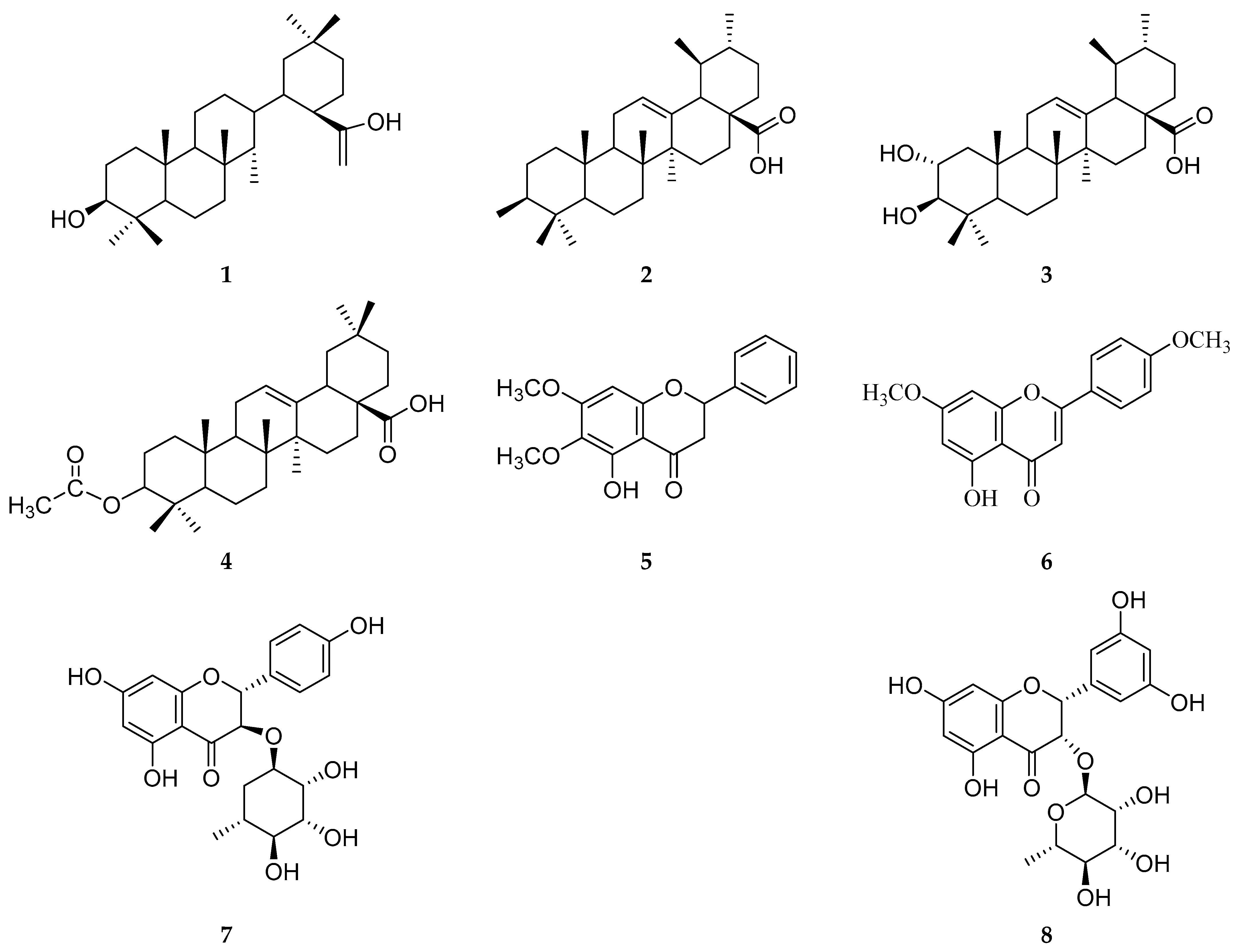 Molecules 31 00357 g001
