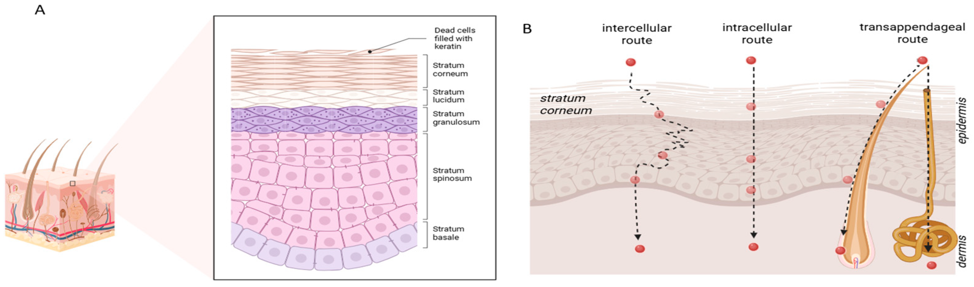 Molecules 31 00379 g001