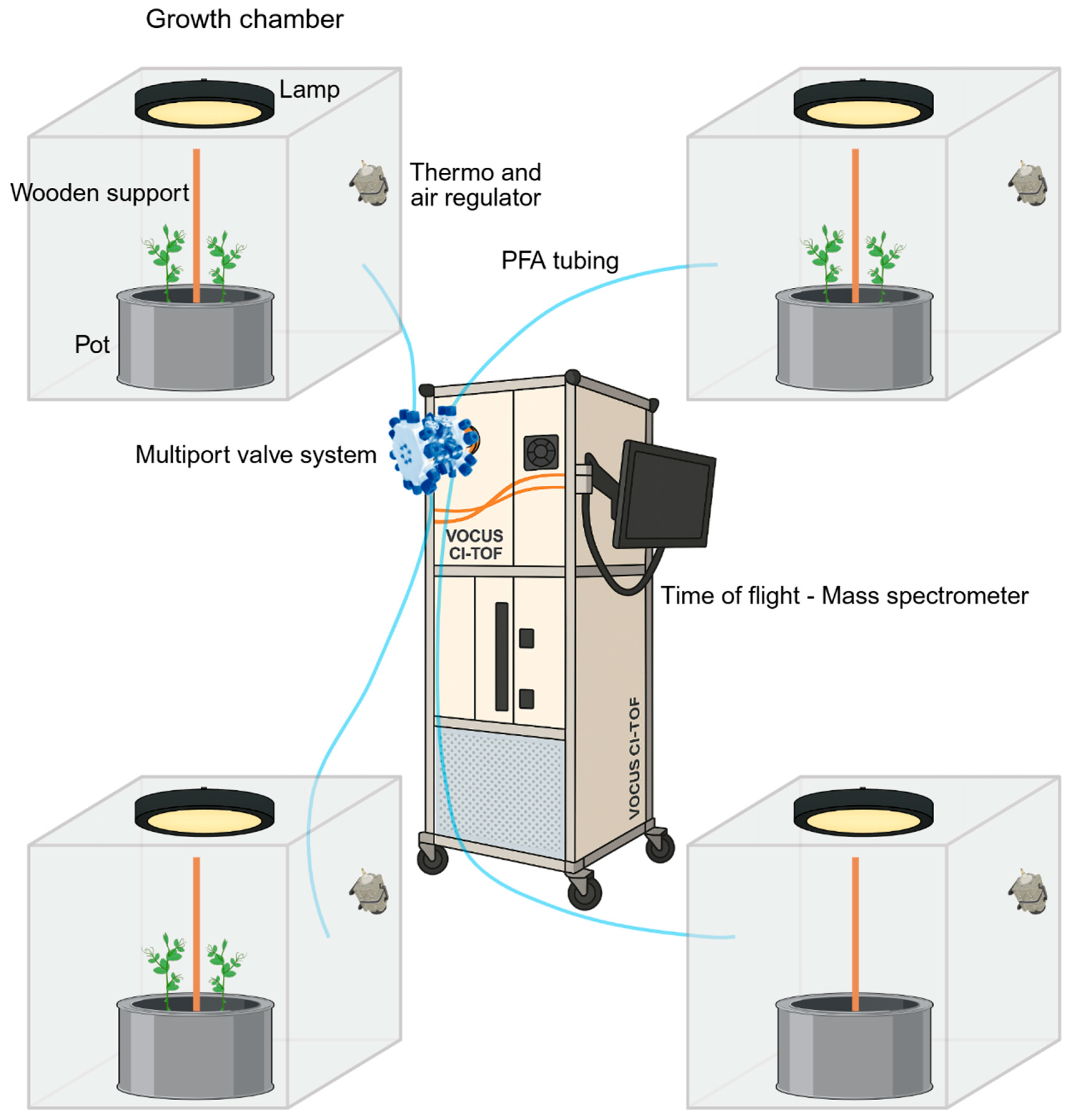 Molecules 31 00402 g004