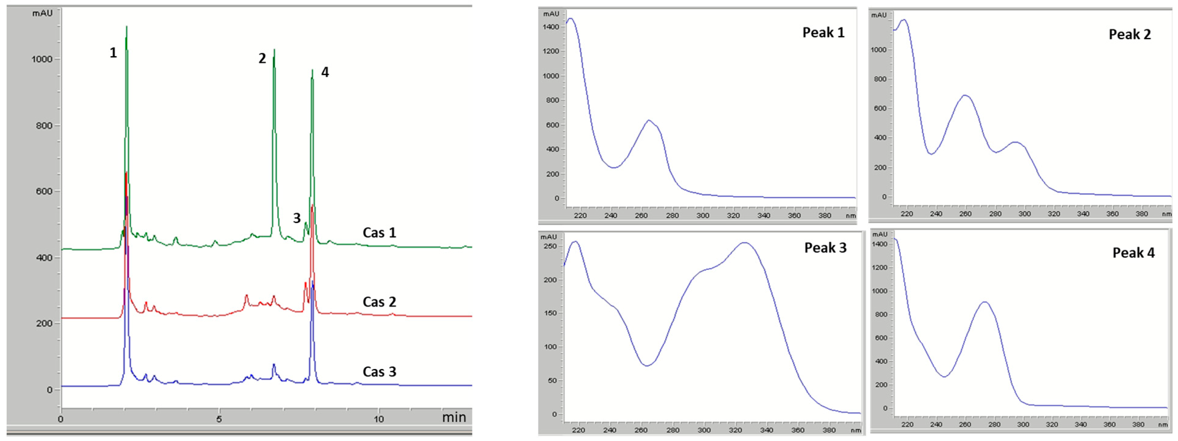 Molecules 31 00403 g002 Molecules 31 00403 g002