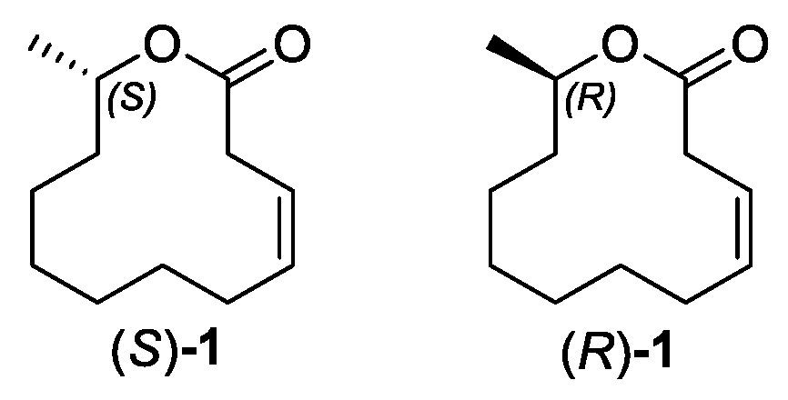 Molecules 31 00404 sch001 Molecules 31 00404 sch001