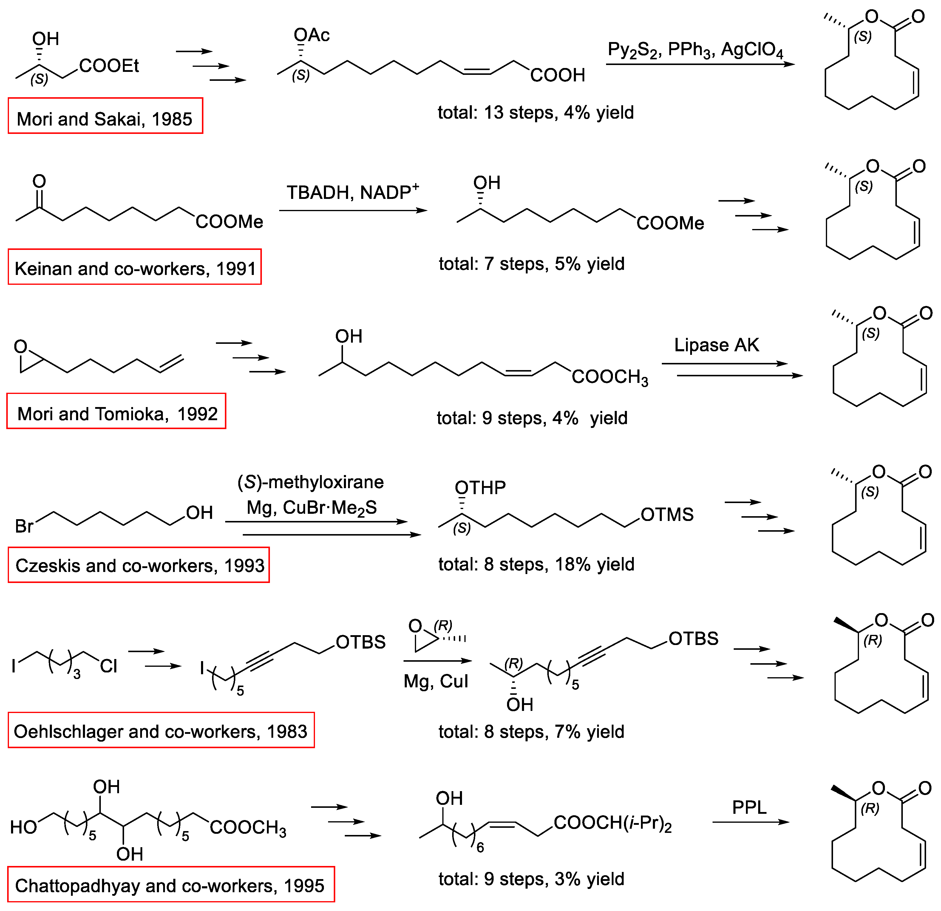 Molecules 31 00404 sch002