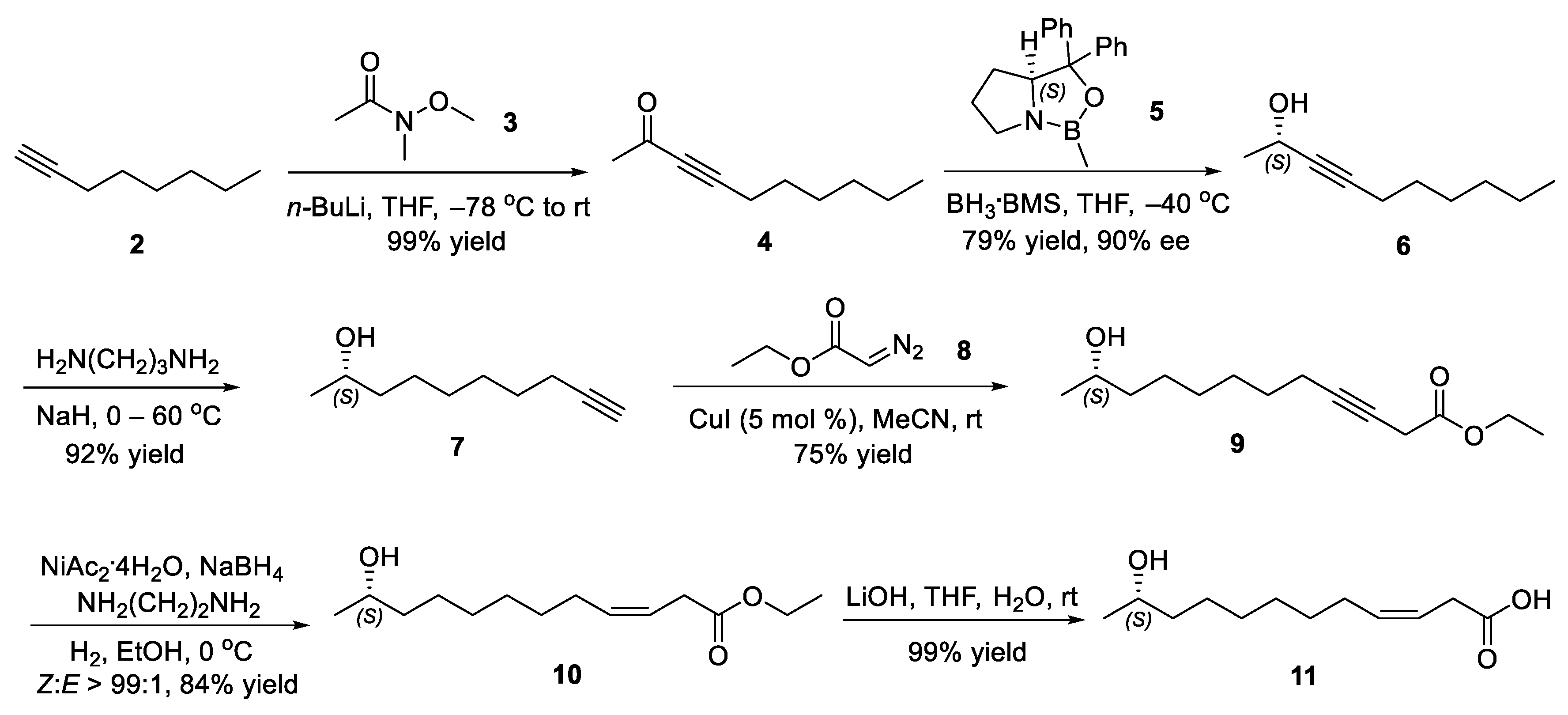 Molecules 31 00404 sch004 Molecules 31 00404 sch004