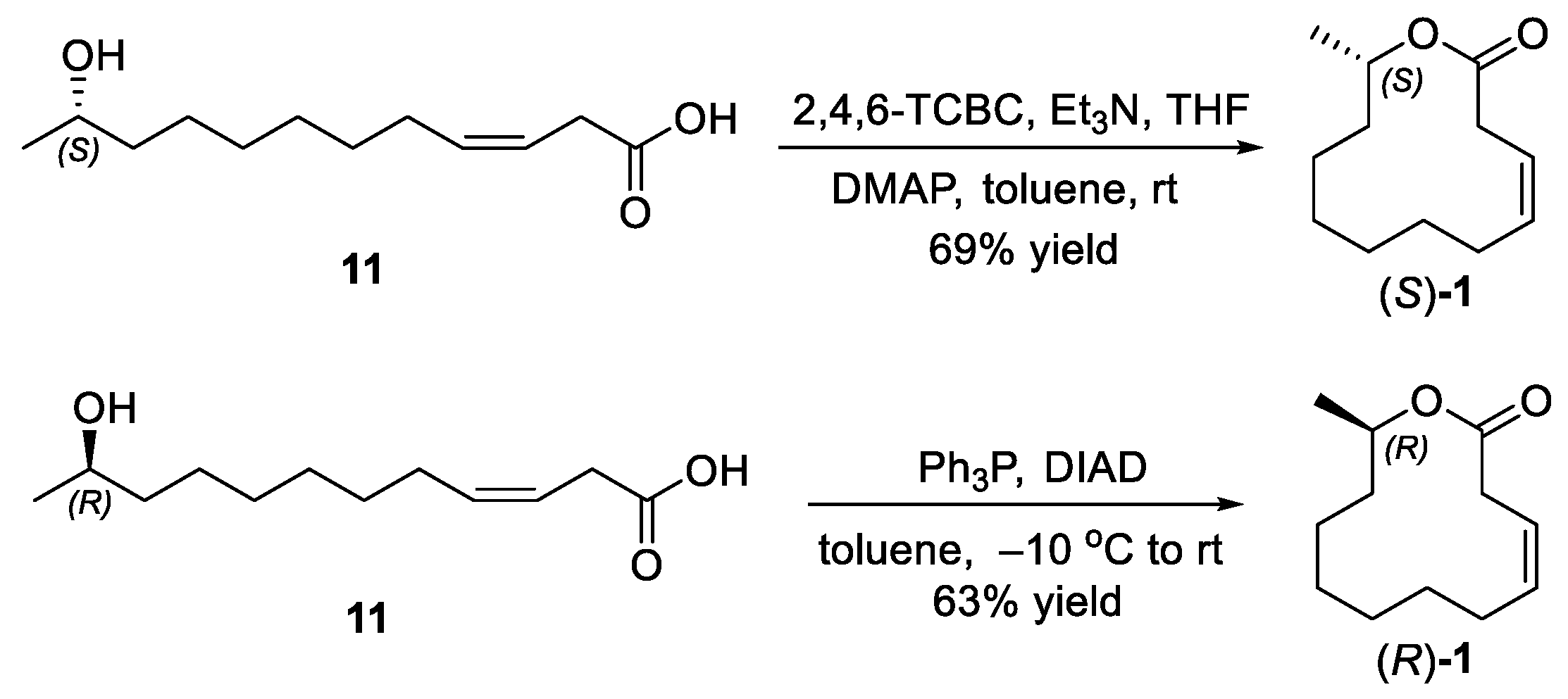 Molecules 31 00404 sch005 Molecules 31 00404 sch005