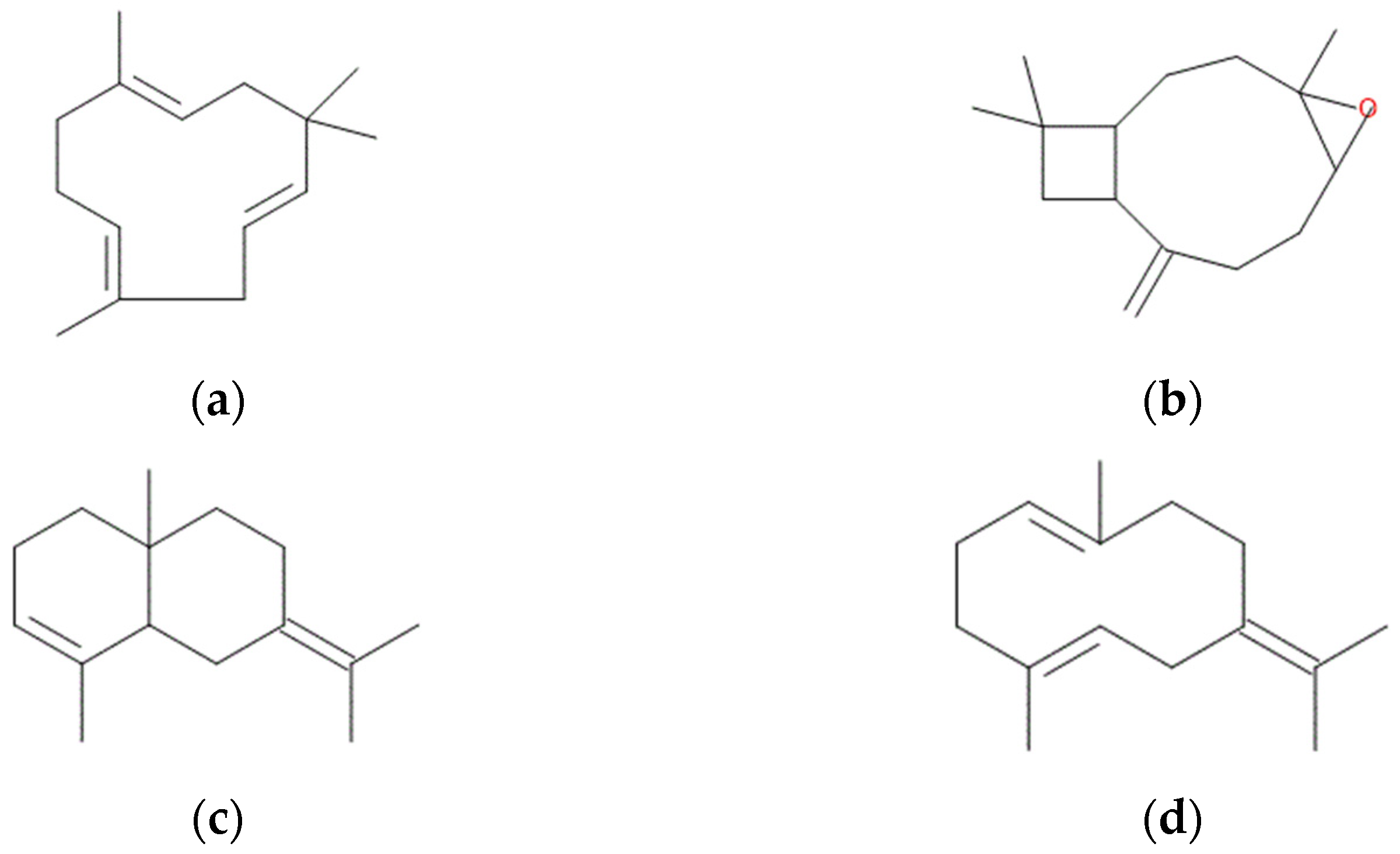 Molecules 31 00405 g001 Molecules 31 00405 g001