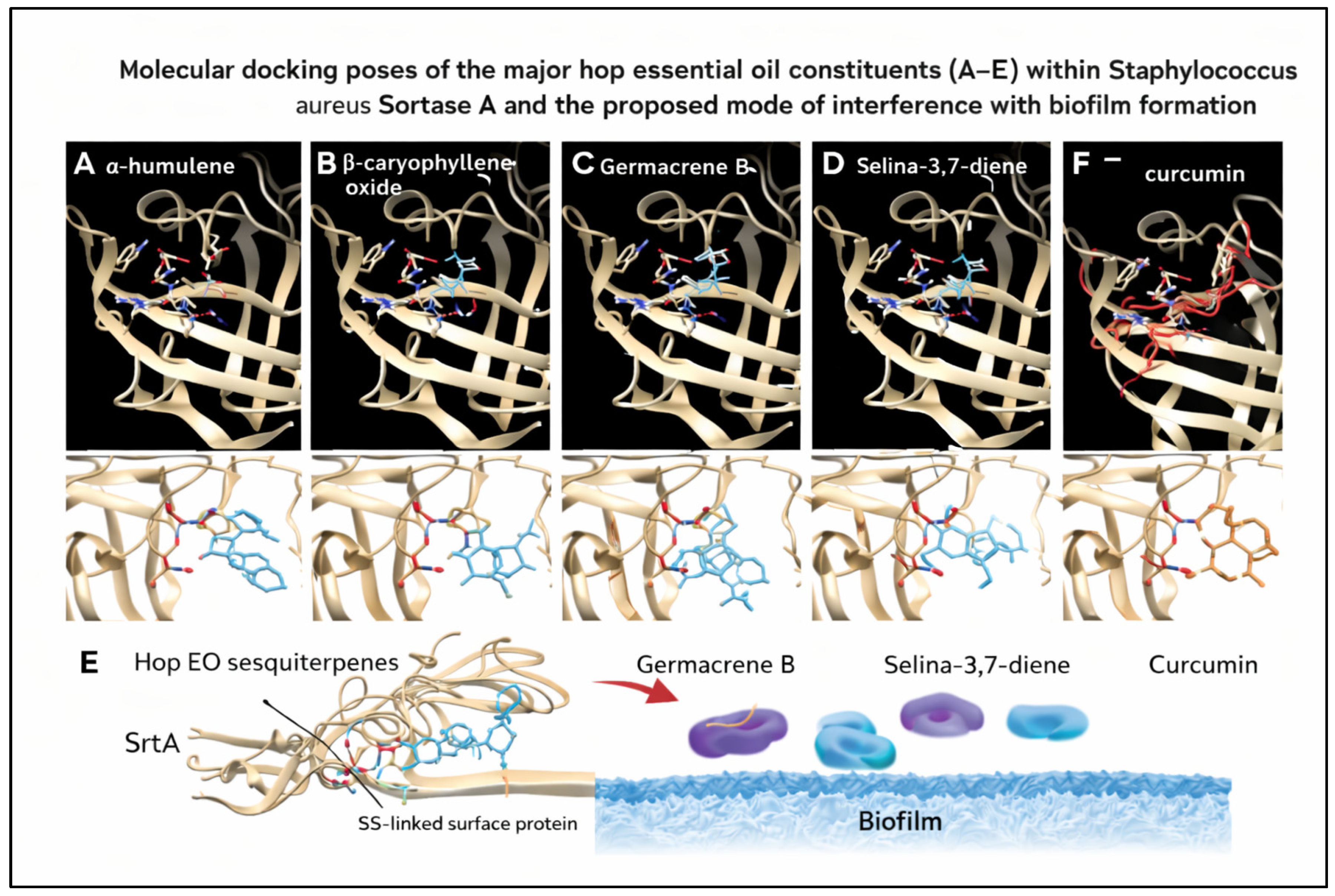 Molecules 31 00405 g005 Molecules 31 00405 g005