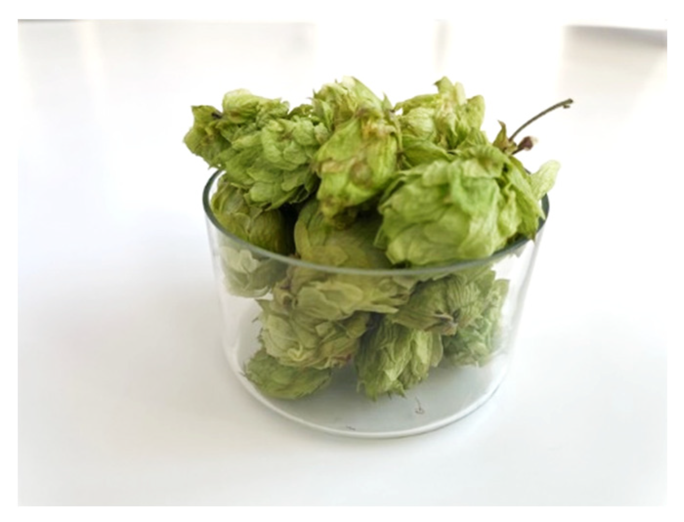 Molecules 31 00405 g006 Molecules 31 00405 g006