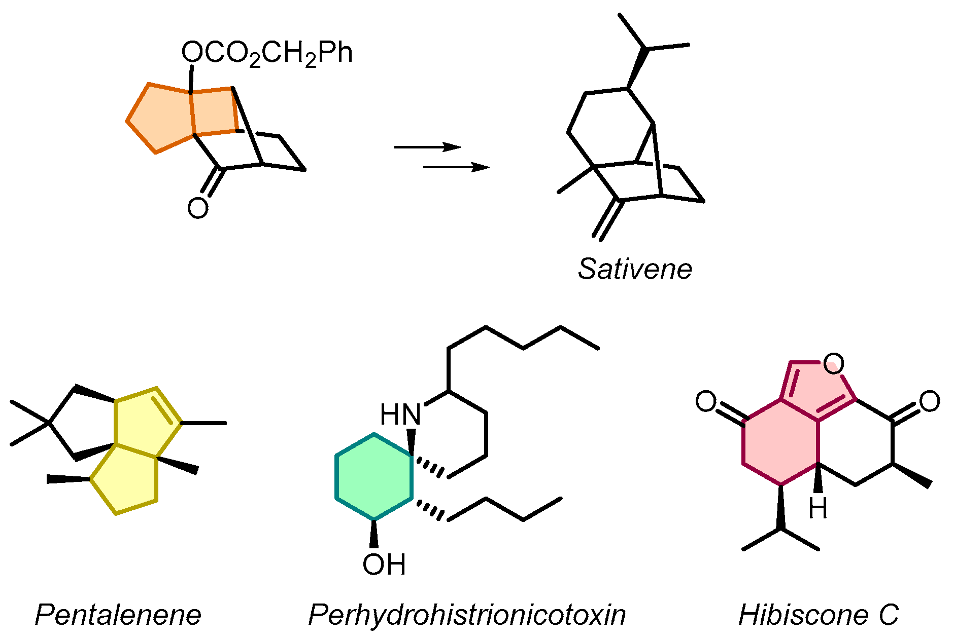 Molecules 31 00430 g001