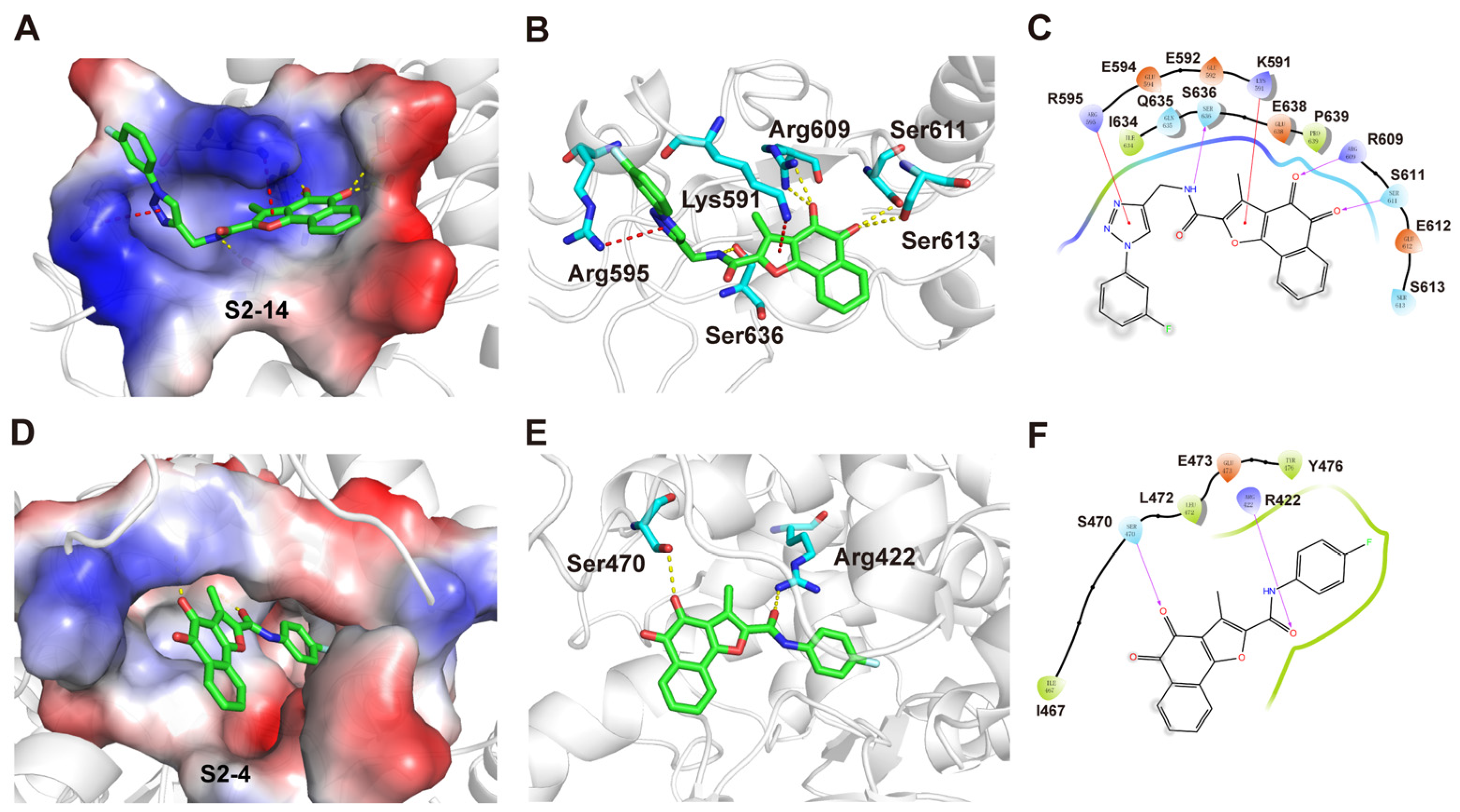 Molecules 31 00446 g006 Molecules 31 00446 g006