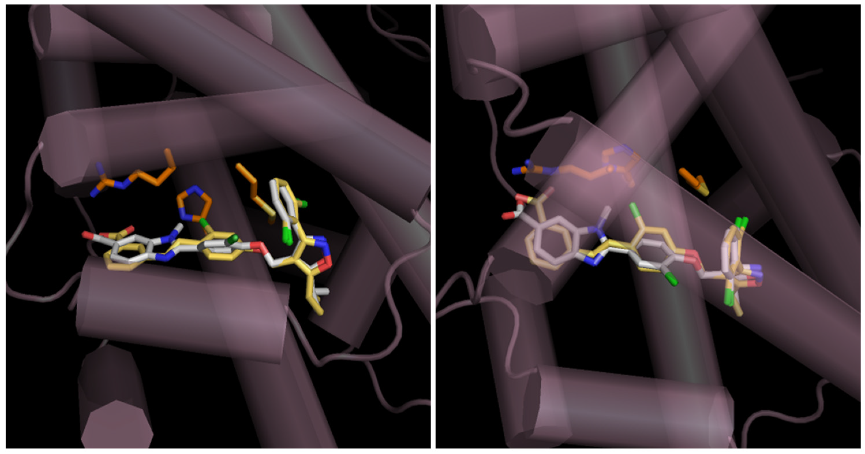Molecules 31 00450 g005