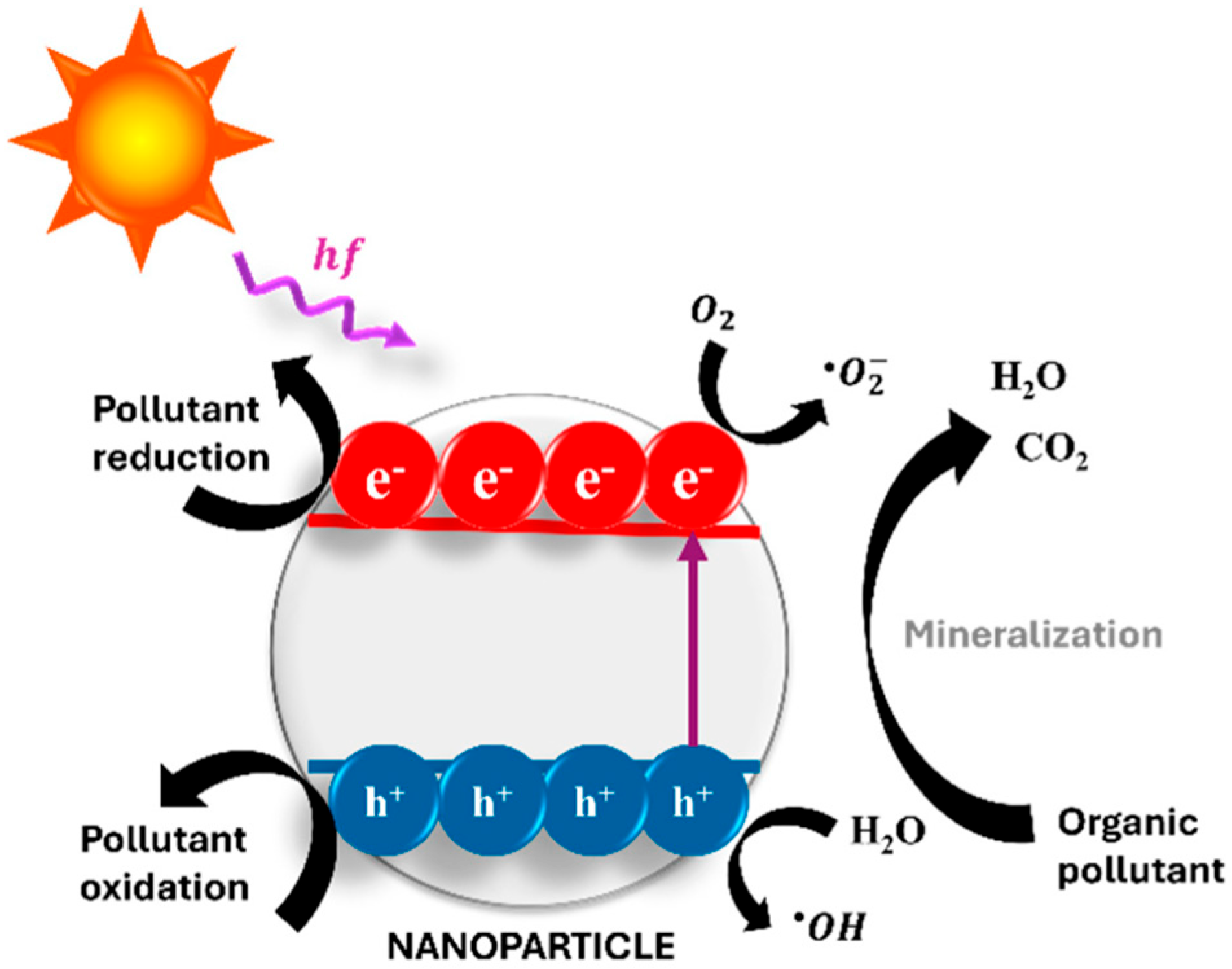 Molecules 31 00453 g006