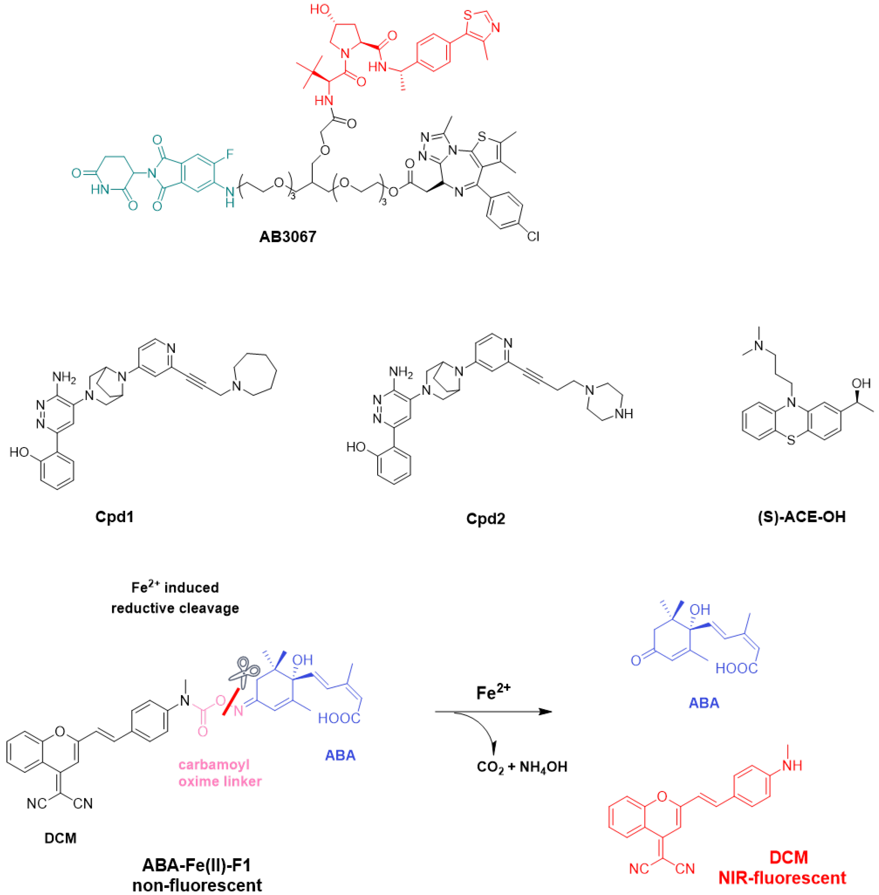 Molecules 31 00459 g015 Molecules 31 00459 g015