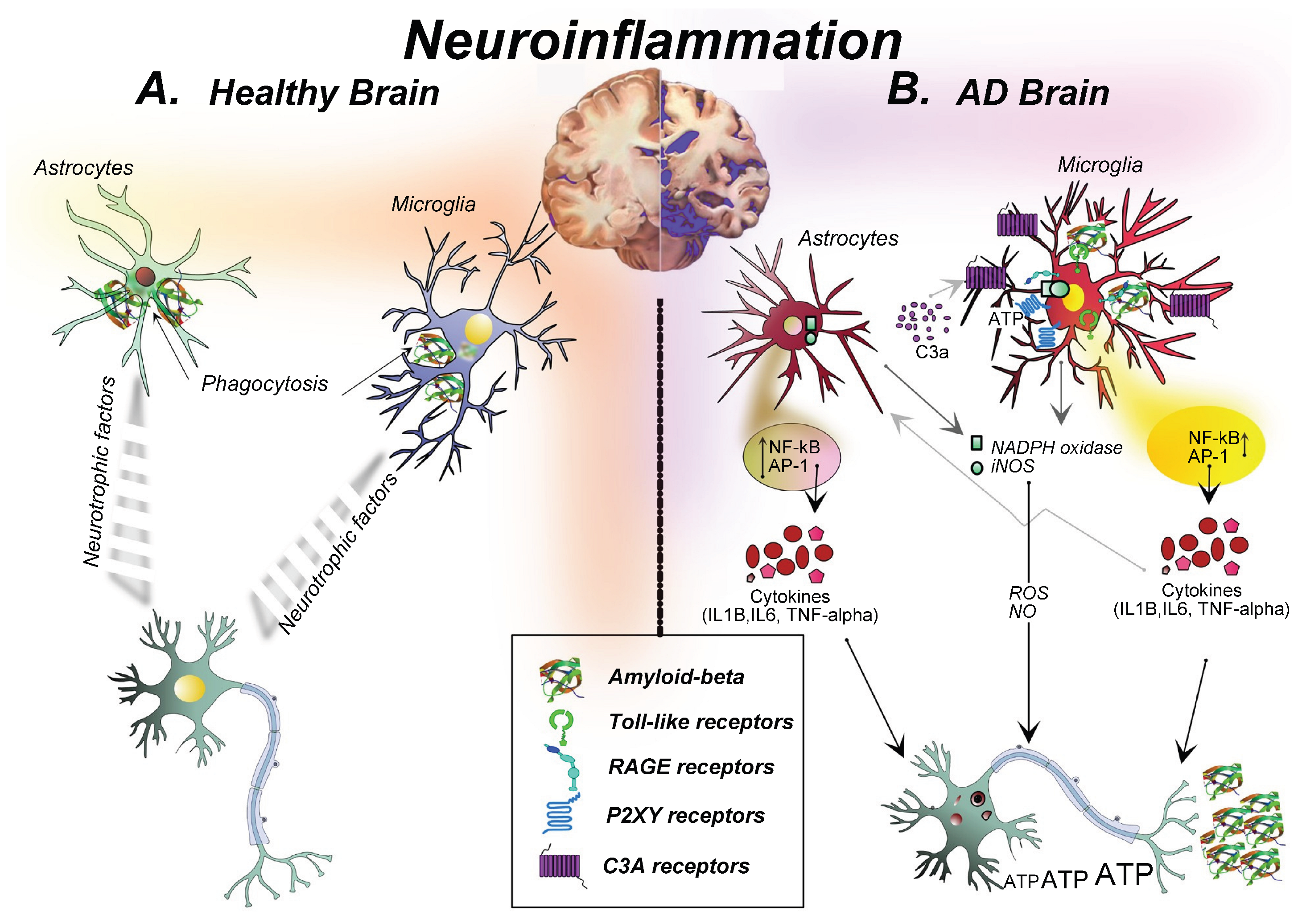 Molecules 31 00465 g001 Molecules 31 00465 g001