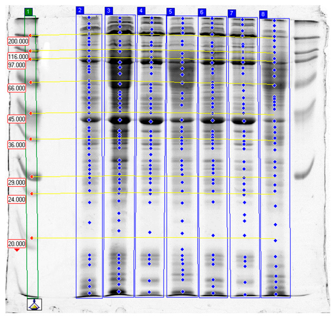 Molecules 31 00466 g001 Molecules 31 00466 g001