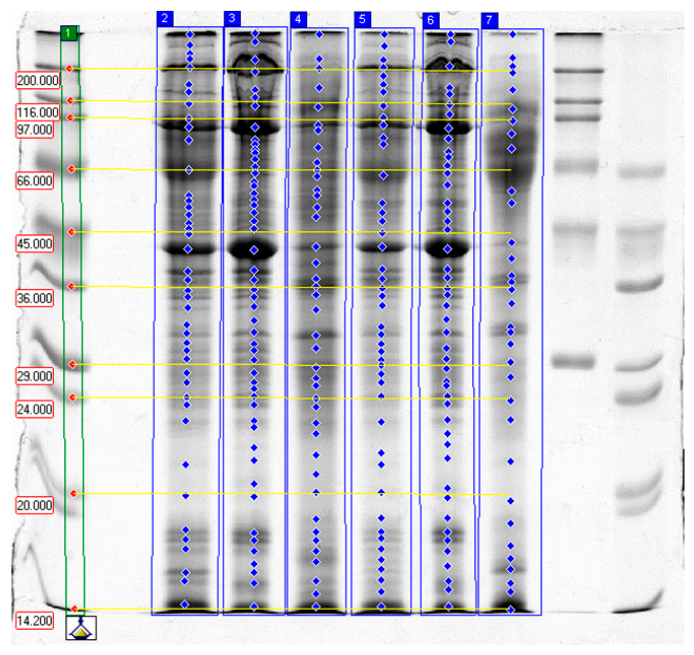 Molecules 31 00466 g002 Molecules 31 00466 g002