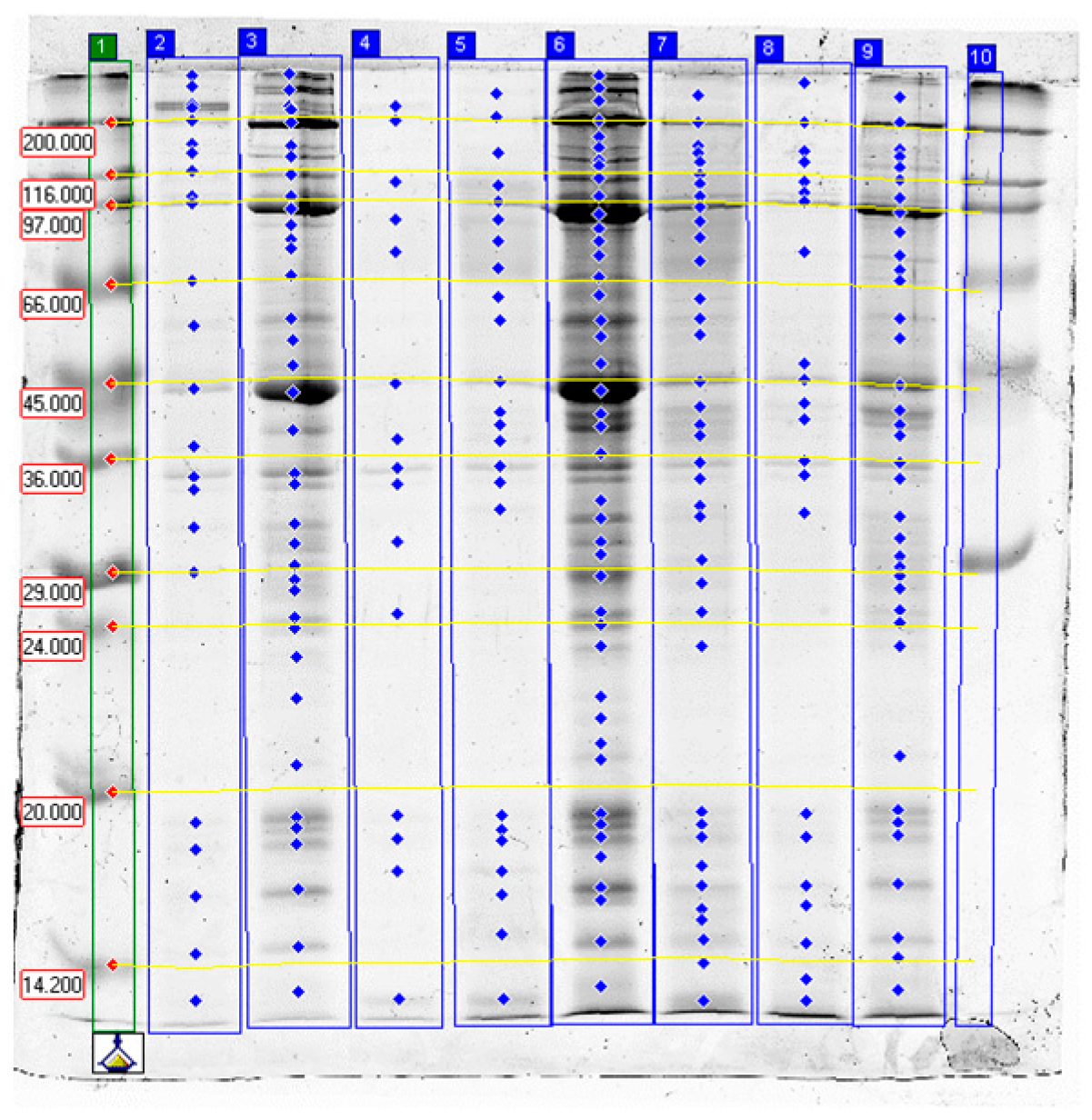 Molecules 31 00466 g003 Molecules 31 00466 g003