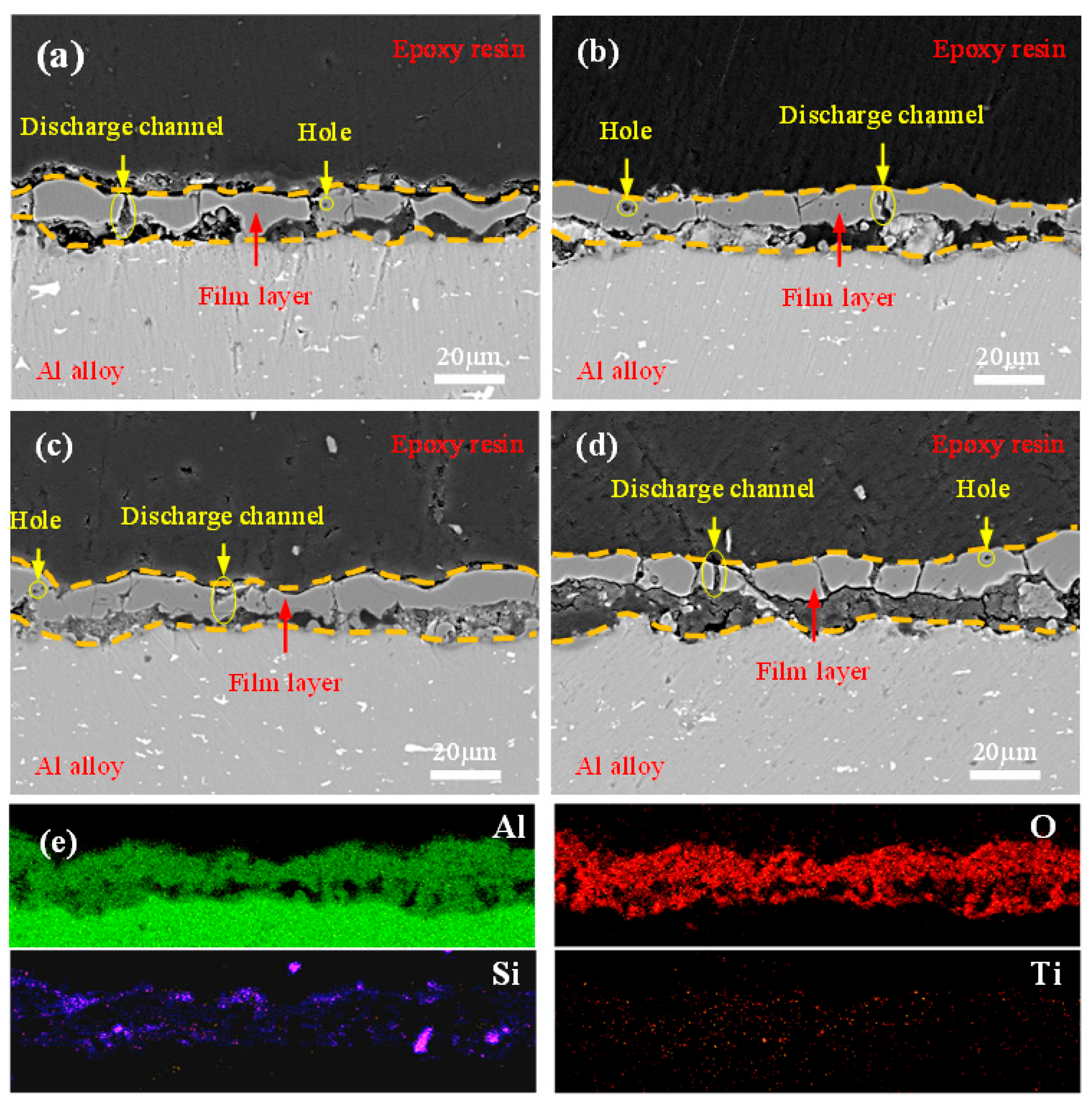 Molecules 31 00468 g005 Molecules 31 00468 g005