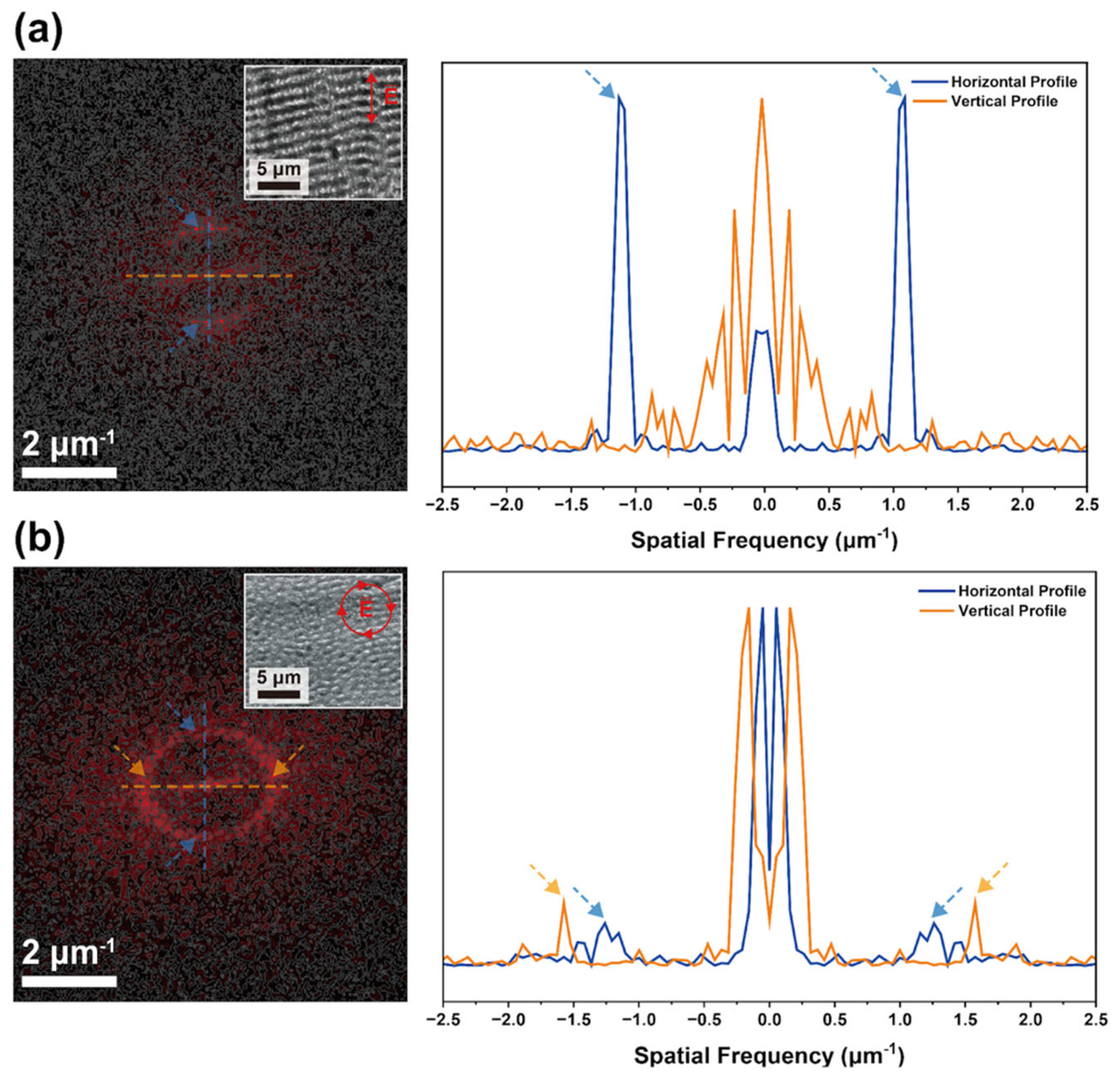 Molecules 31 00480 g003 Molecules 31 00480 g003