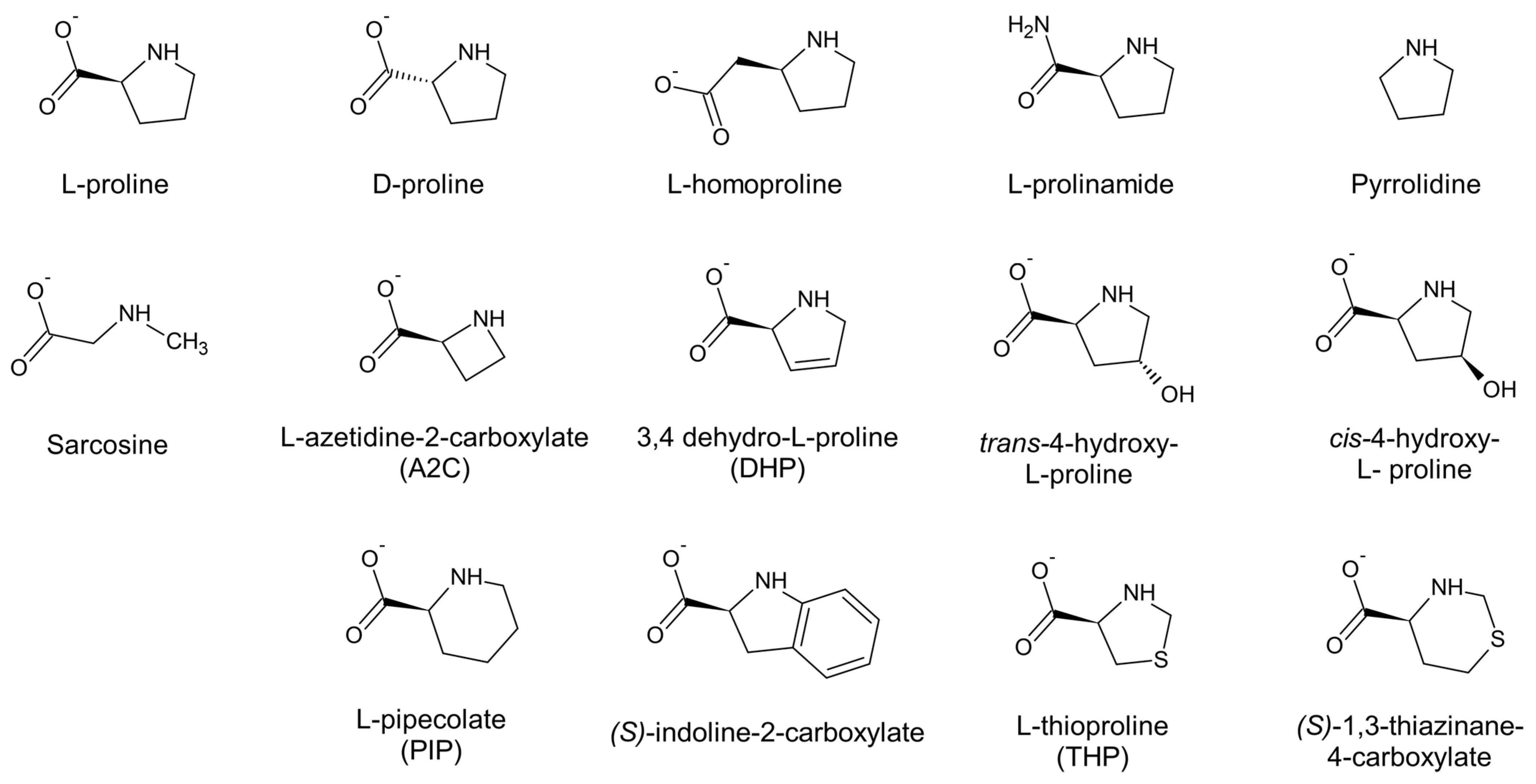 Molecules 31 00501 g004 Molecules 31 00501 g004