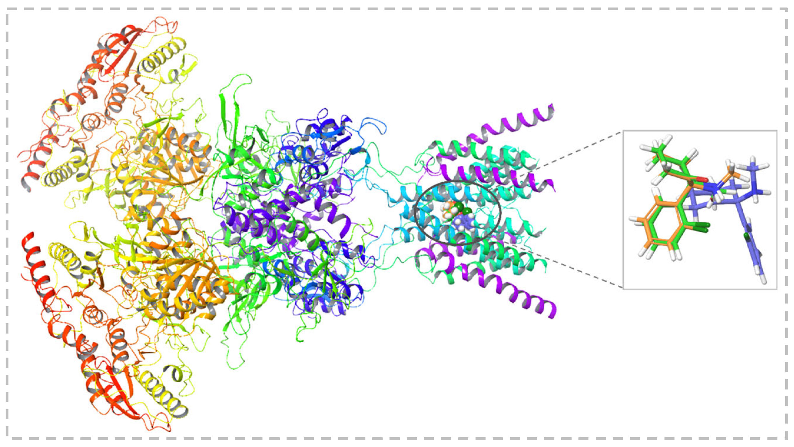 Molecules 31 00522 g002