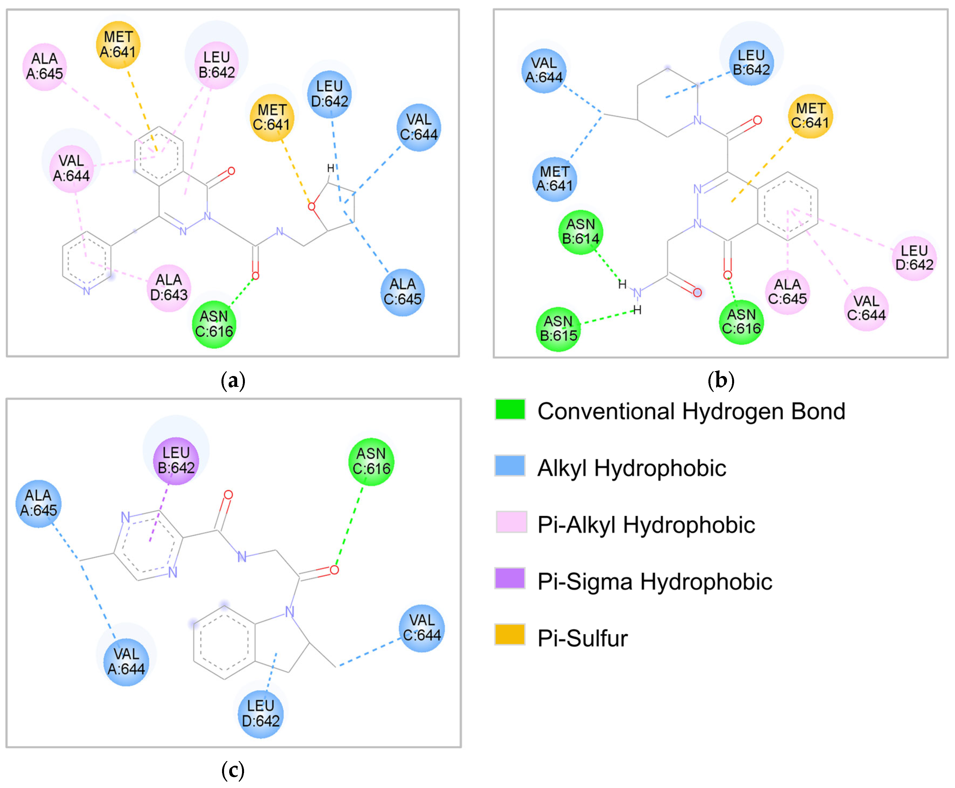 Molecules 31 00522 g006