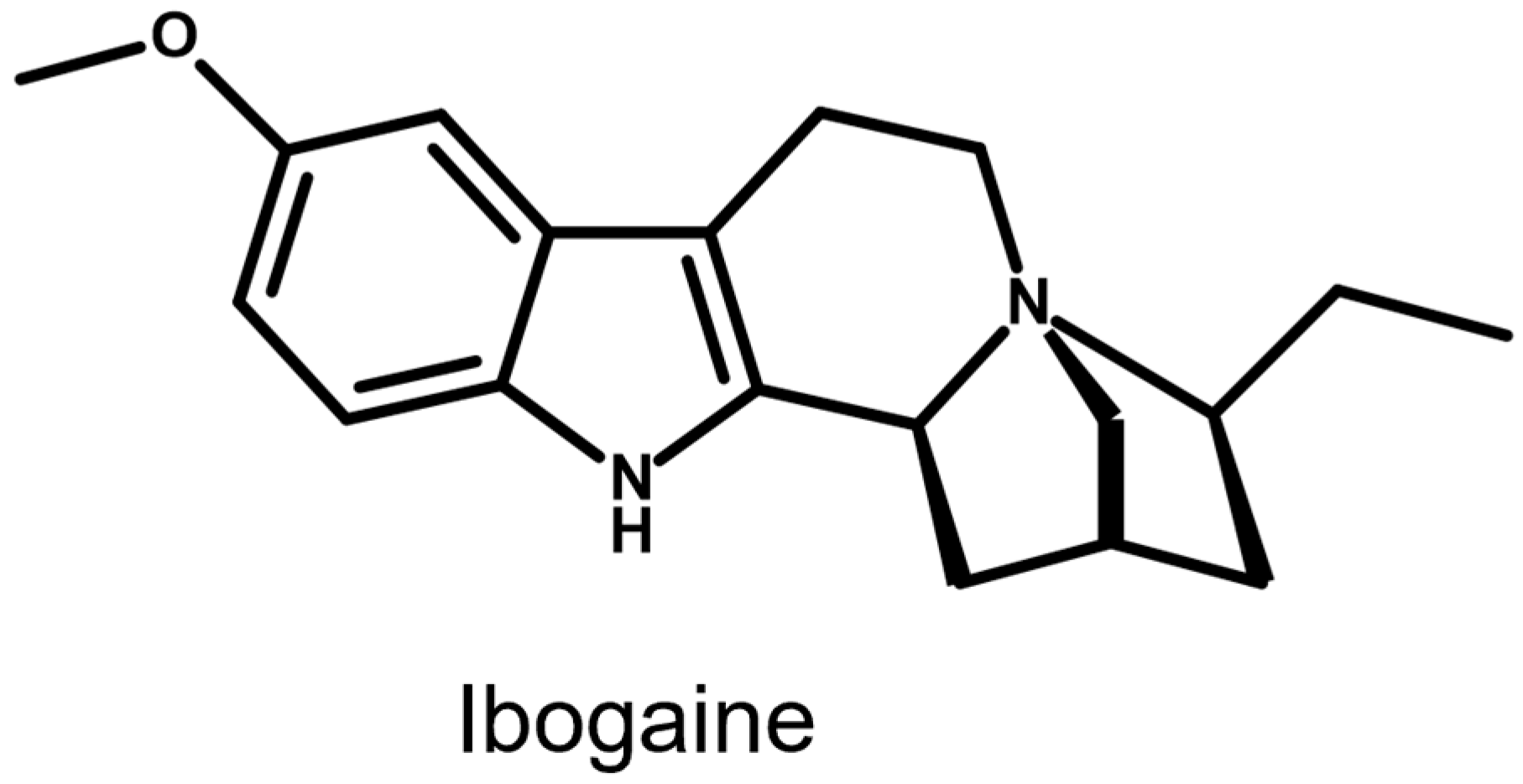 Molecules 31 00545 g003