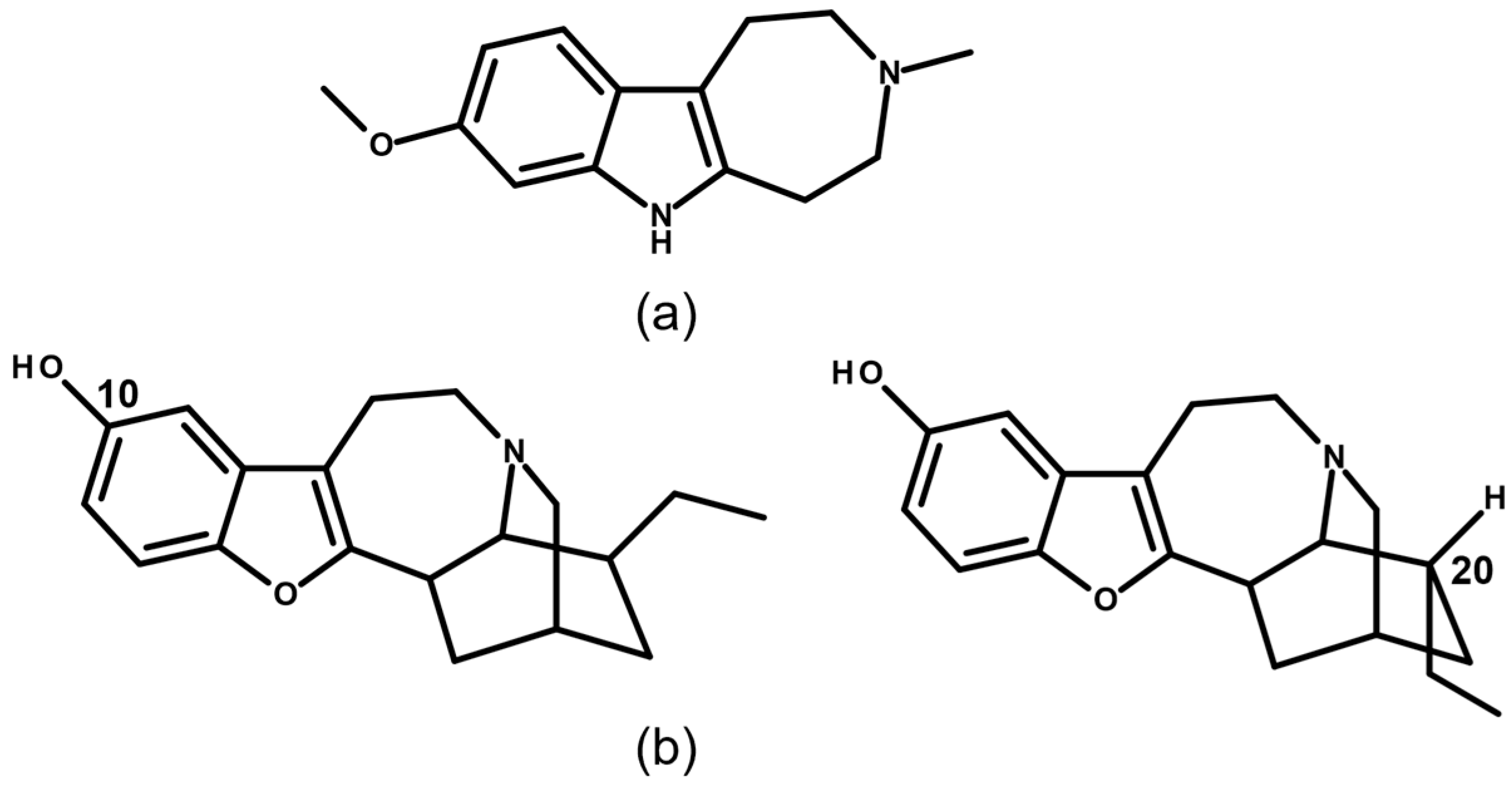 Molecules 31 00545 g004