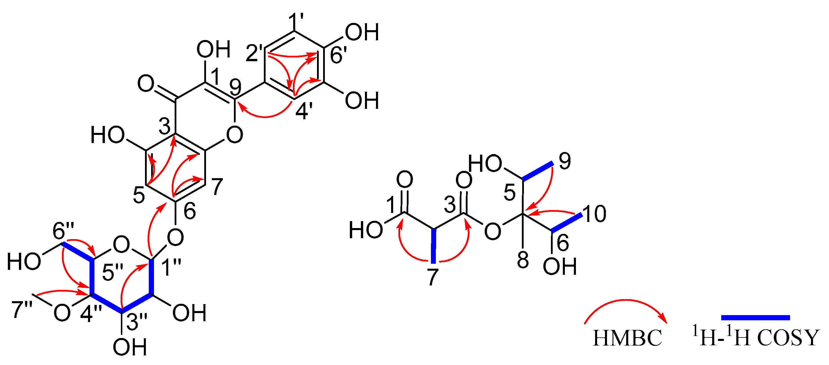 Molecules 31 00558 g001 Molecules 31 00558 g001