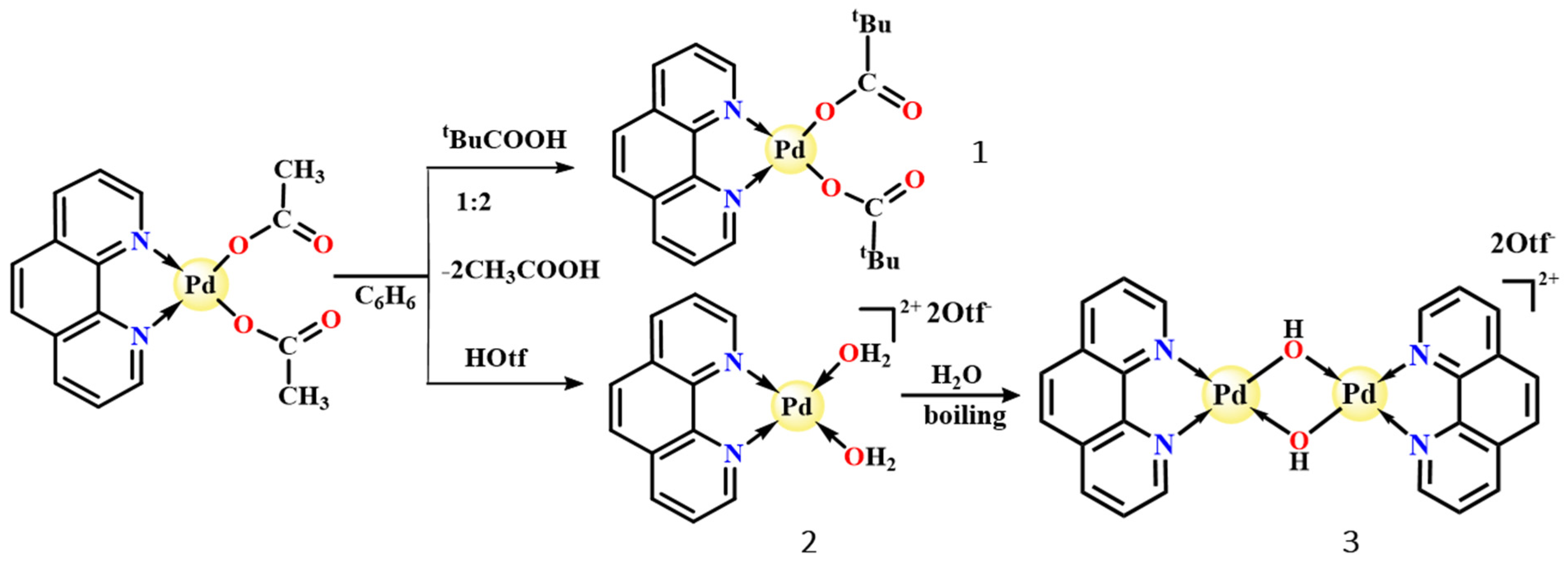 Molecules 31 00576 sch001 Molecules 31 00576 sch001