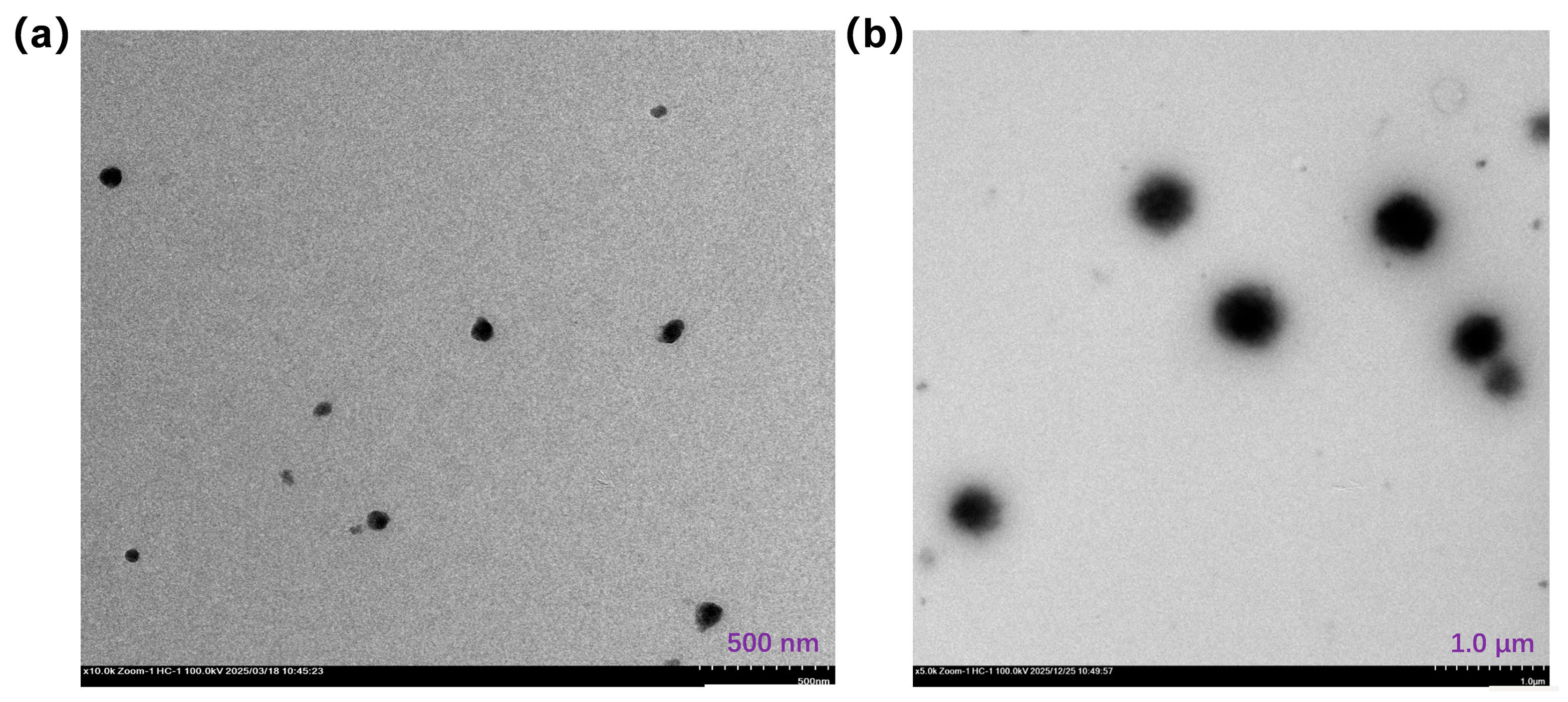 Molecules 31 00577 g003 Molecules 31 00577 g003