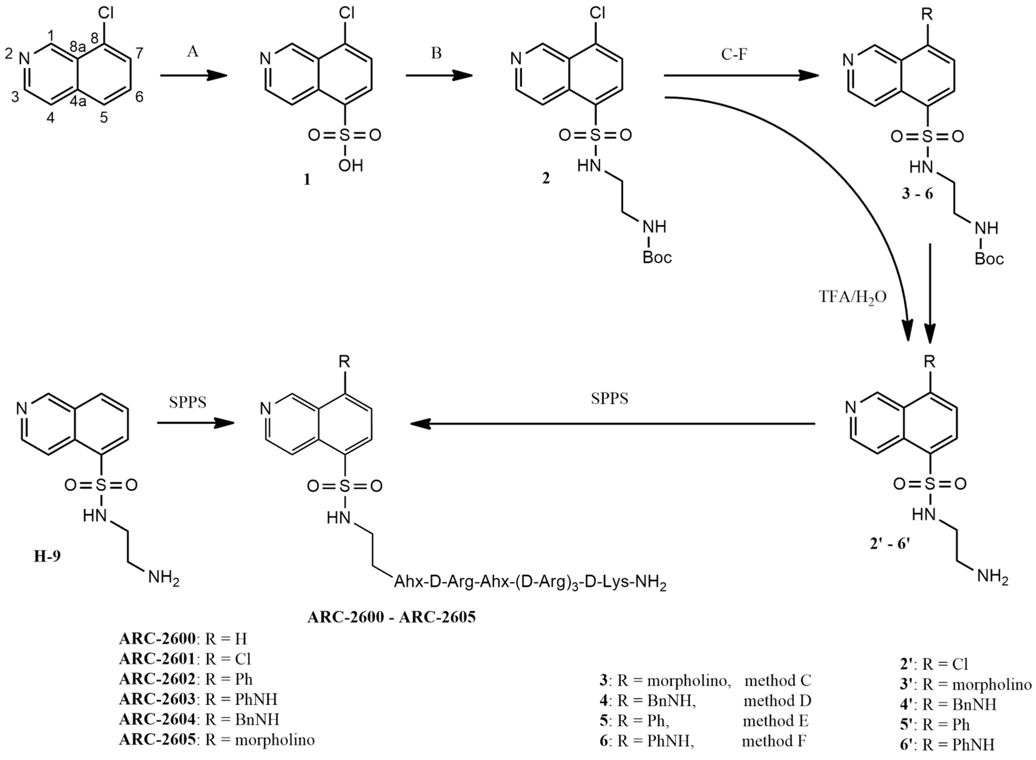 Molecules 31 00585 sch001 Molecules 31 00585 sch001