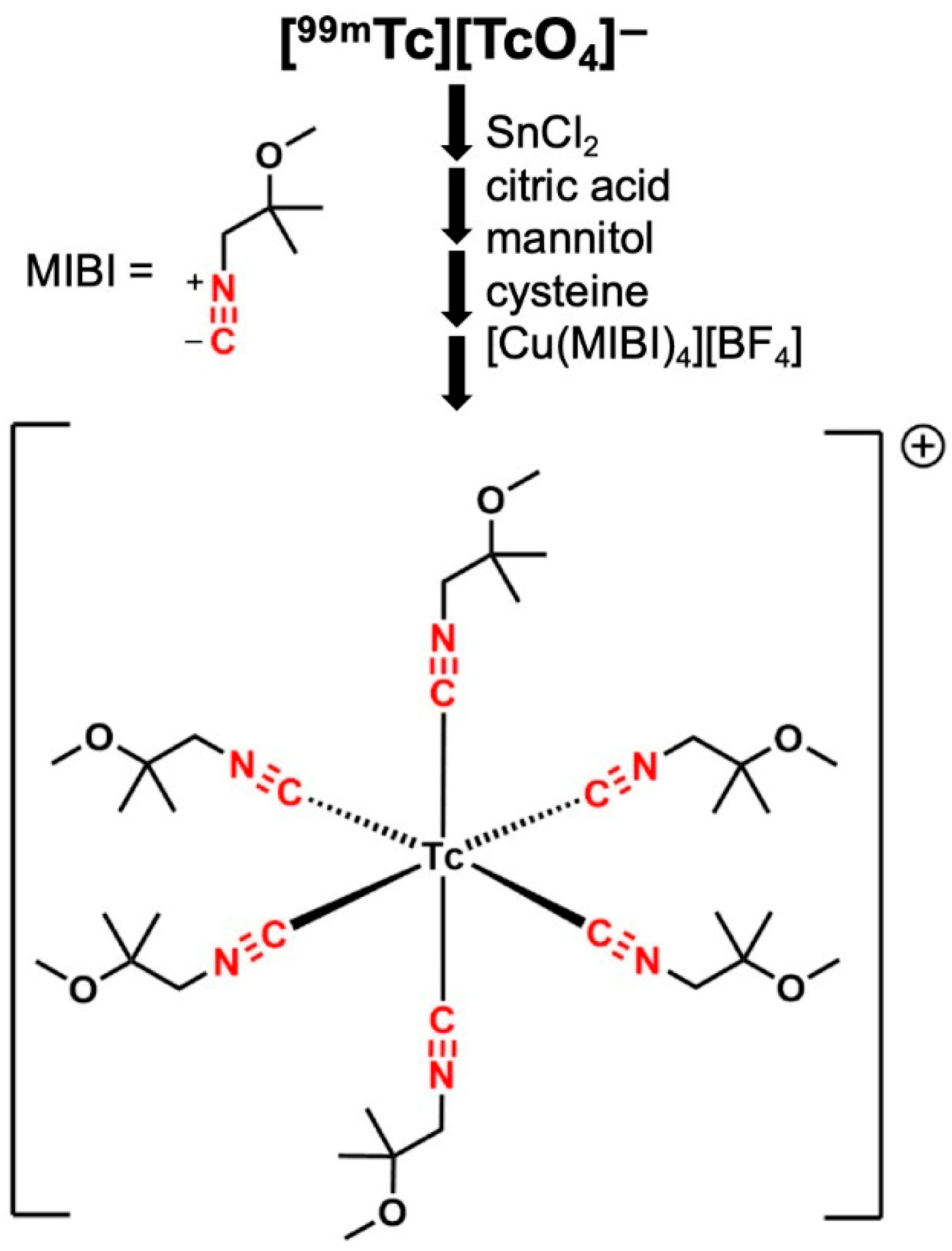 Molecules 31 00596 g001