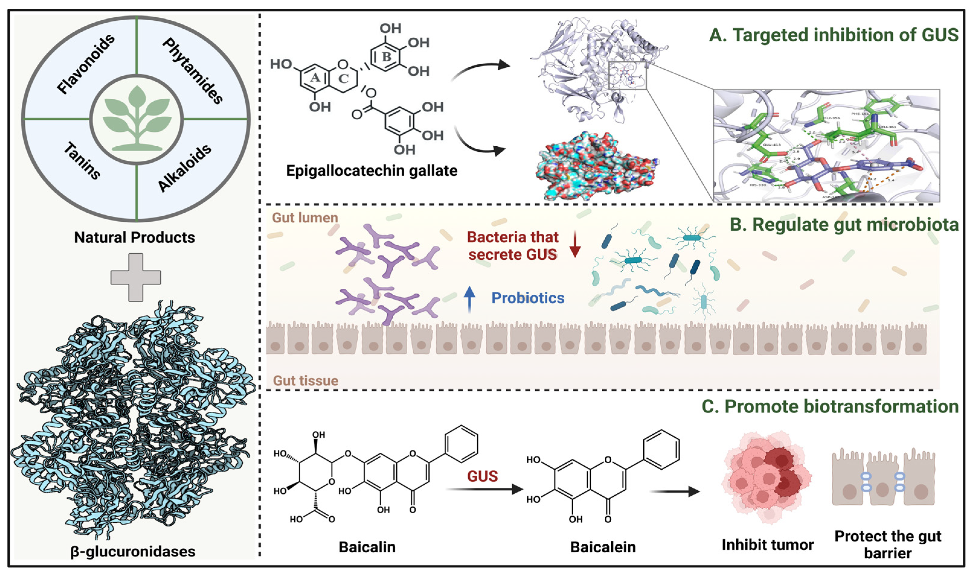 Molecules 31 00601 g002