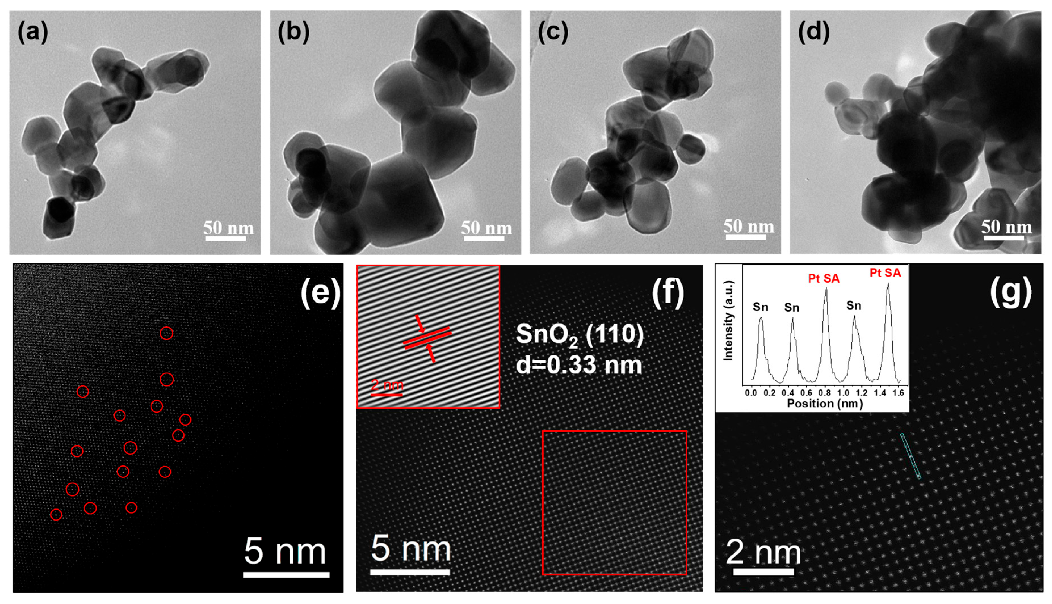 Molecules 31 00607 g001 Molecules 31 00607 g001
