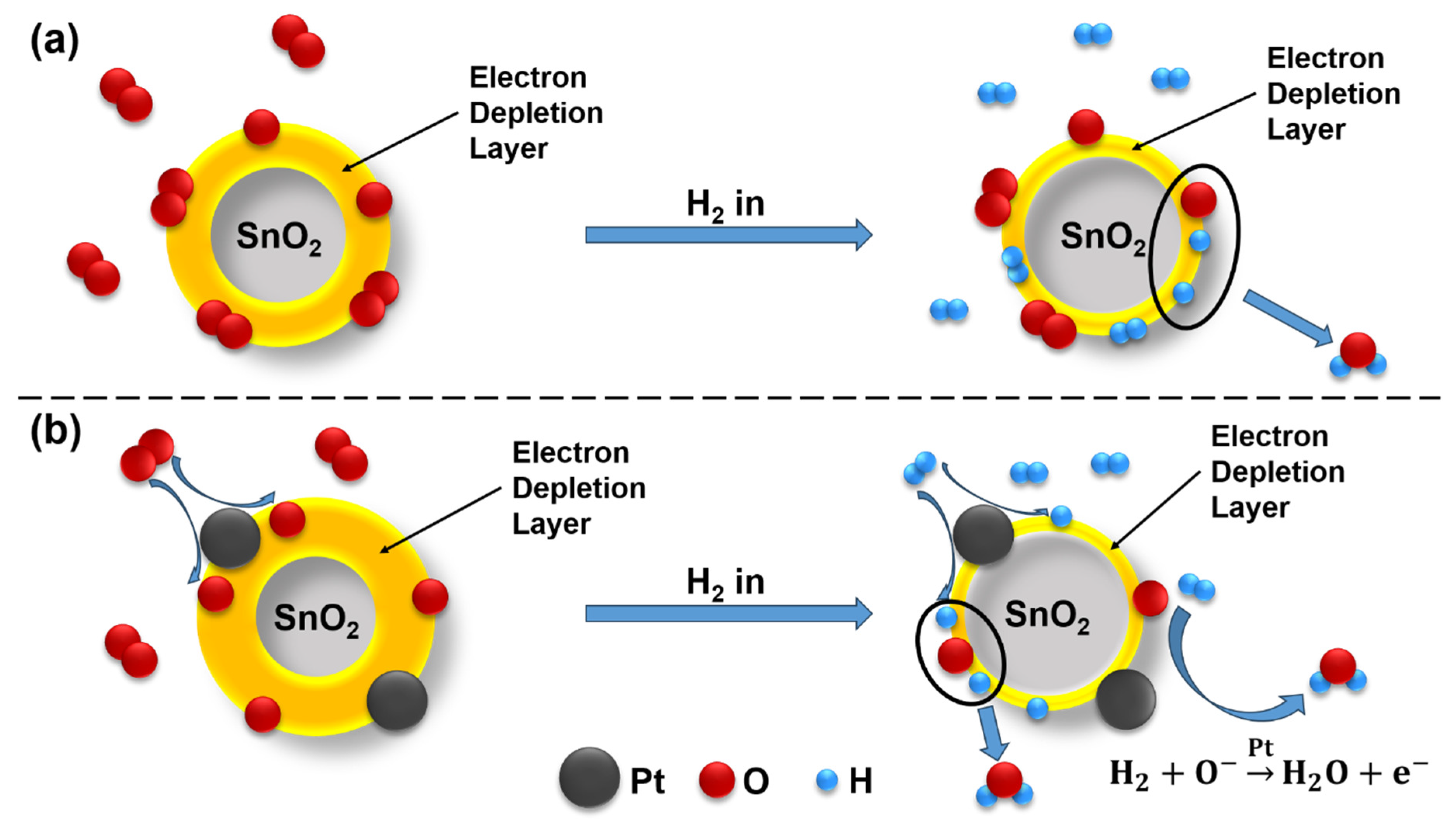 Molecules 31 00607 g005 Molecules 31 00607 g005