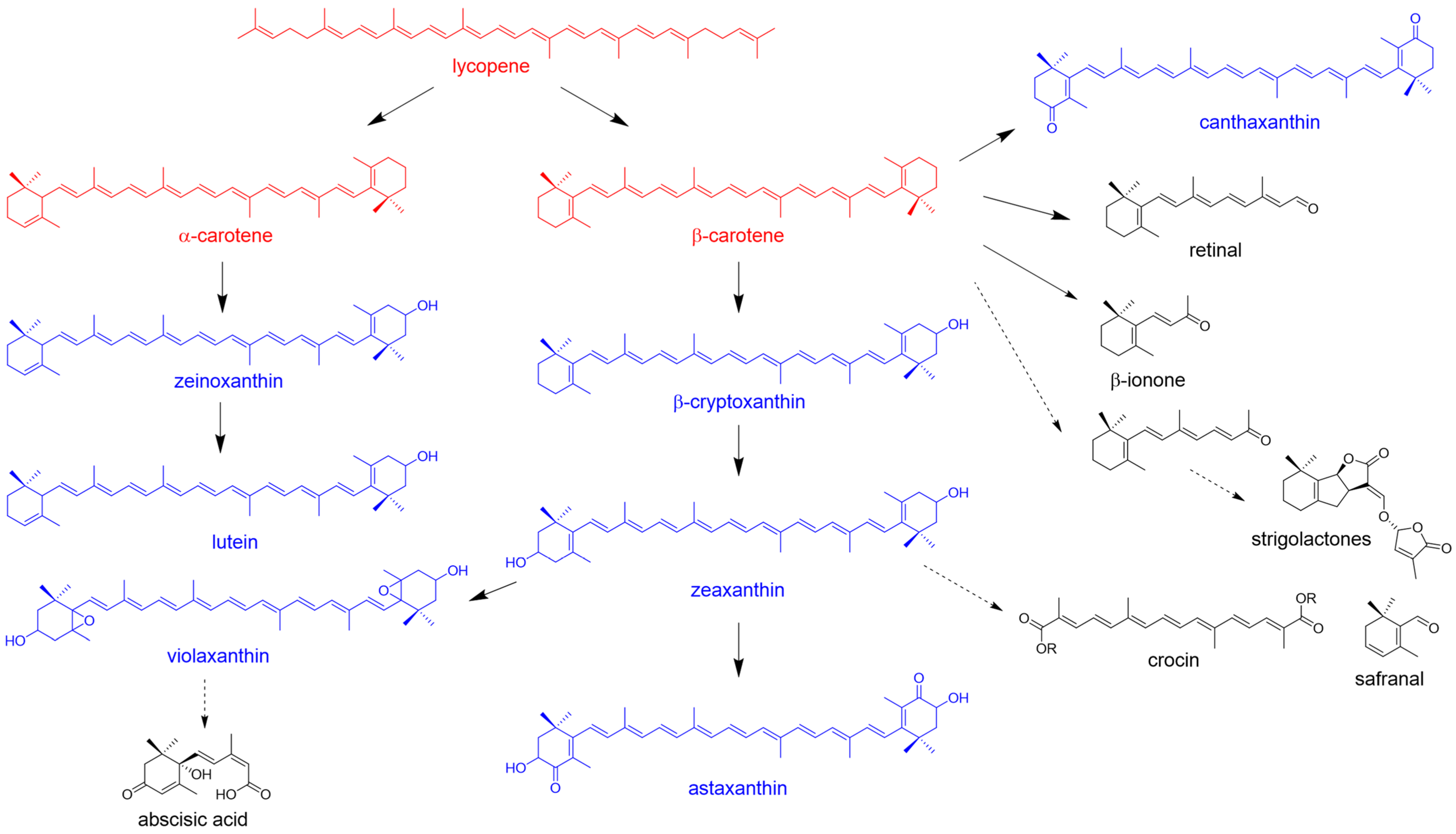 Molecules 31 00611 g004 Molecules 31 00611 g004